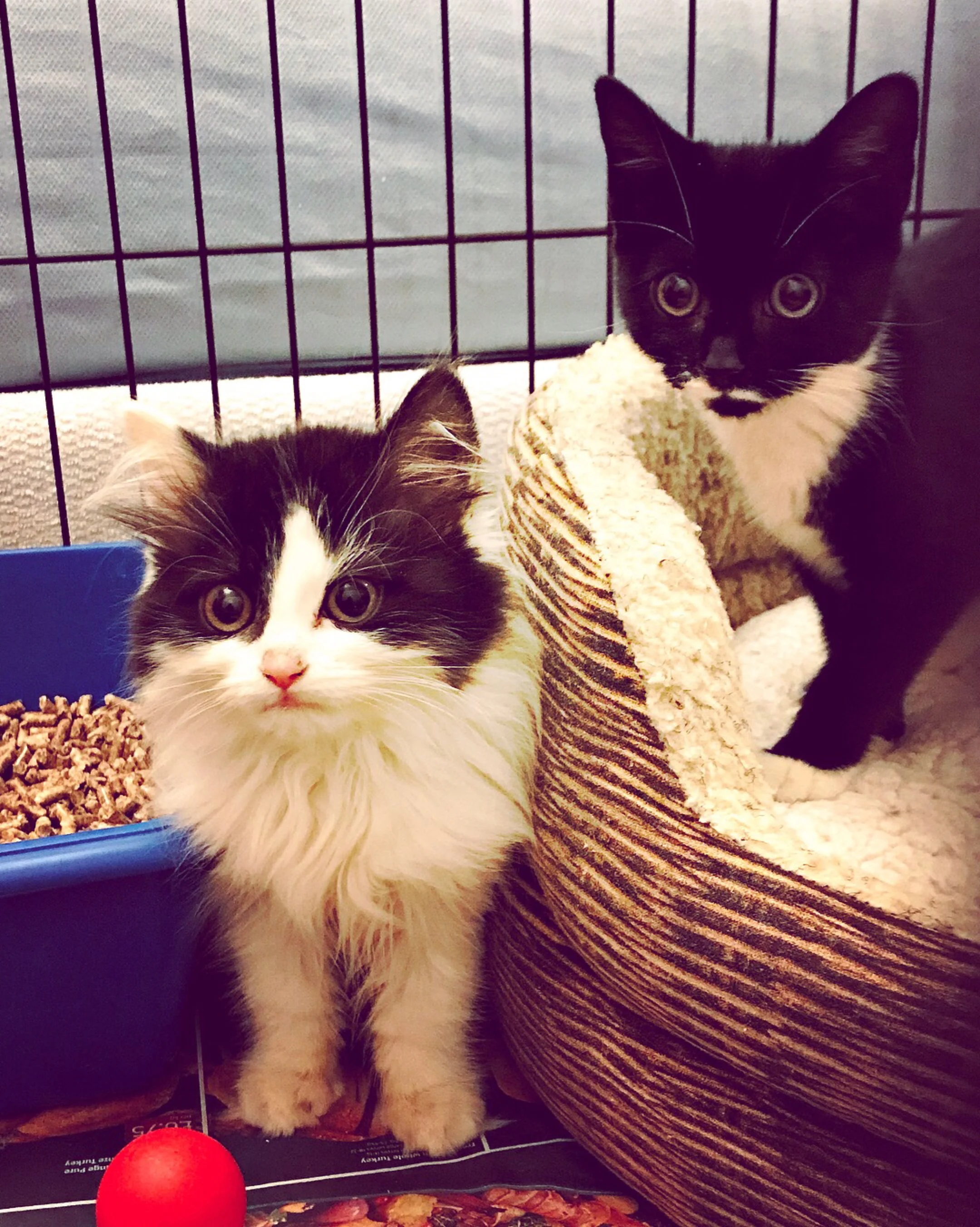 The 28th &amp; 29th; They're all very soft.