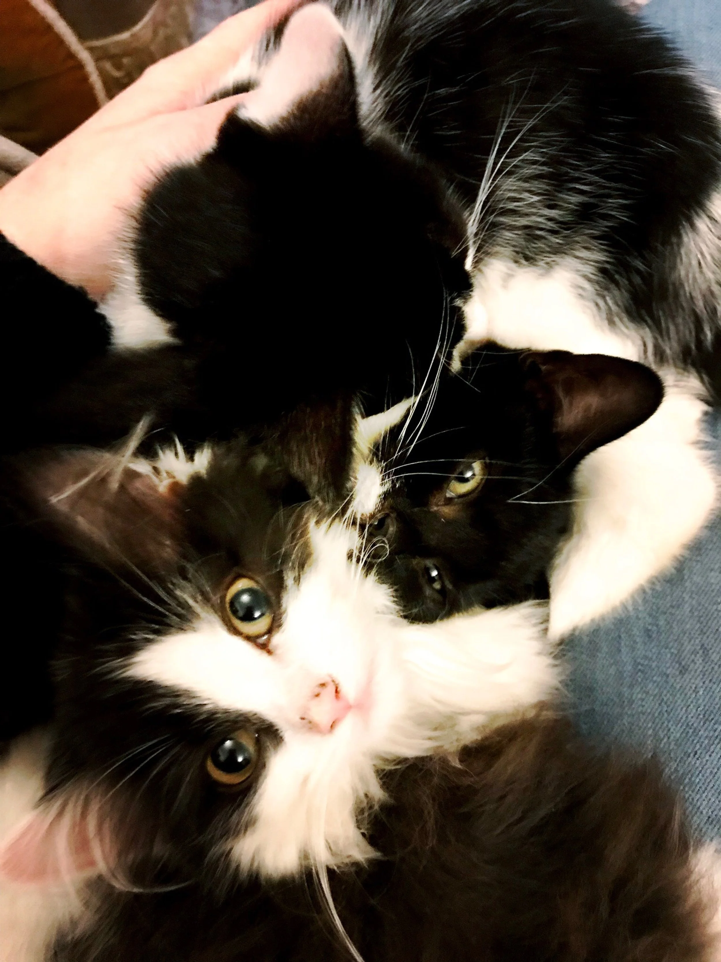 The 5th & 6th; Absolutely frozen.