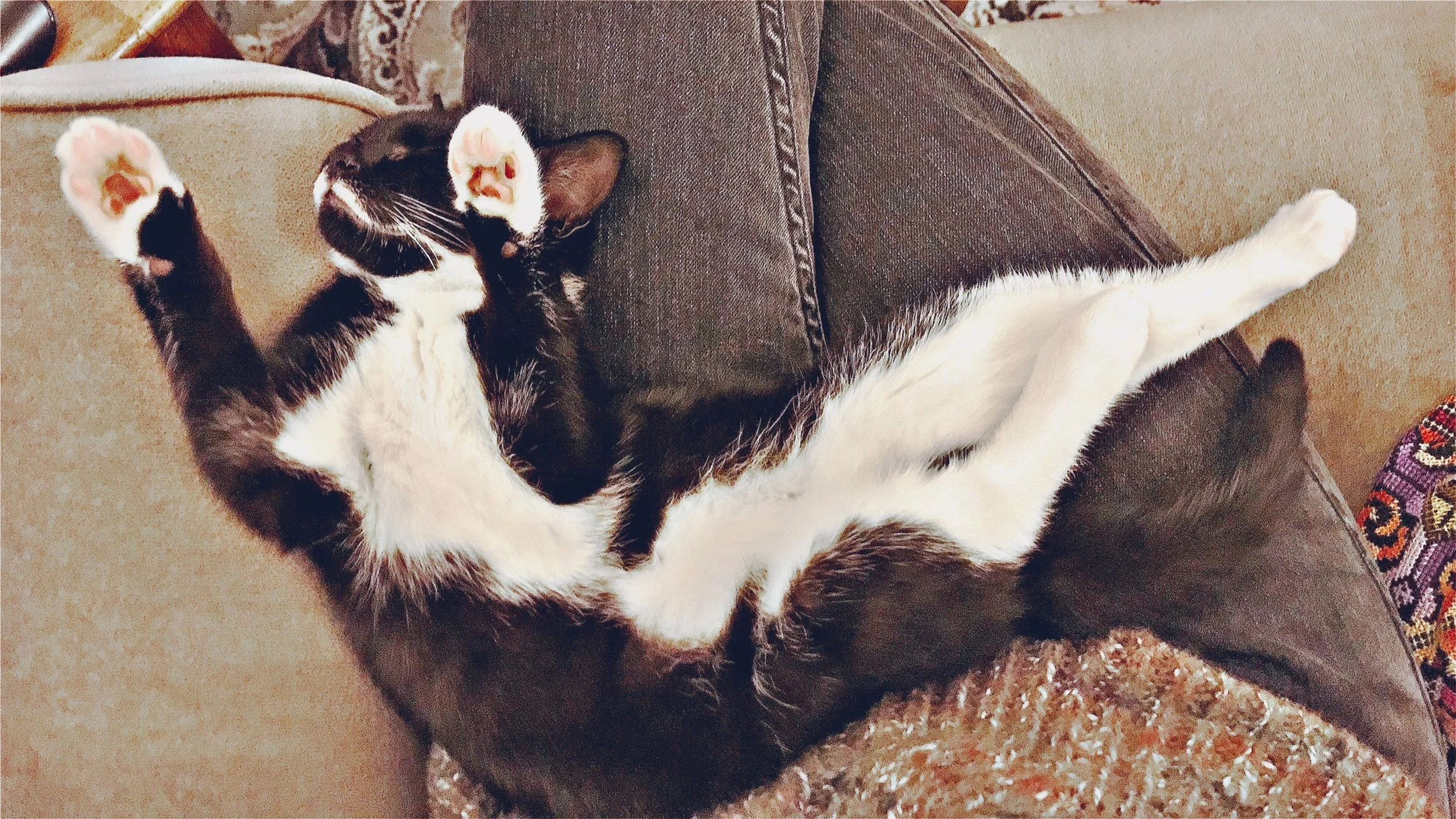 The 7th & 8th; Thought I'd skip the pain.