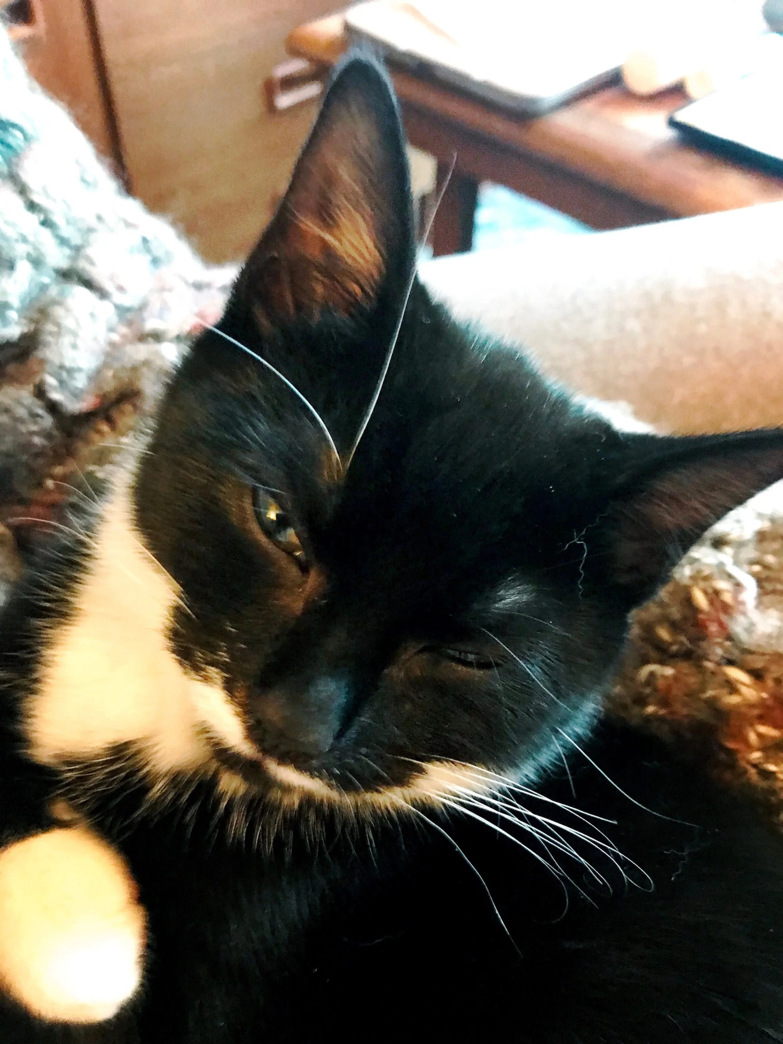 The 11th & 12th; Am fairly useless.