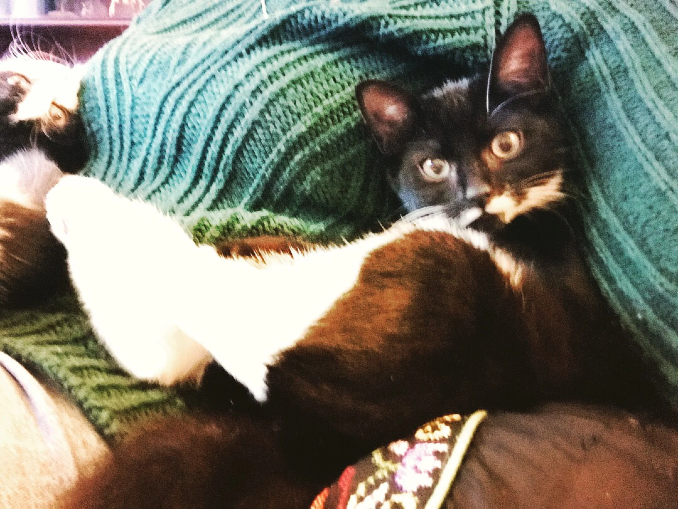 The 15th & 16th; What a miracle my body is.