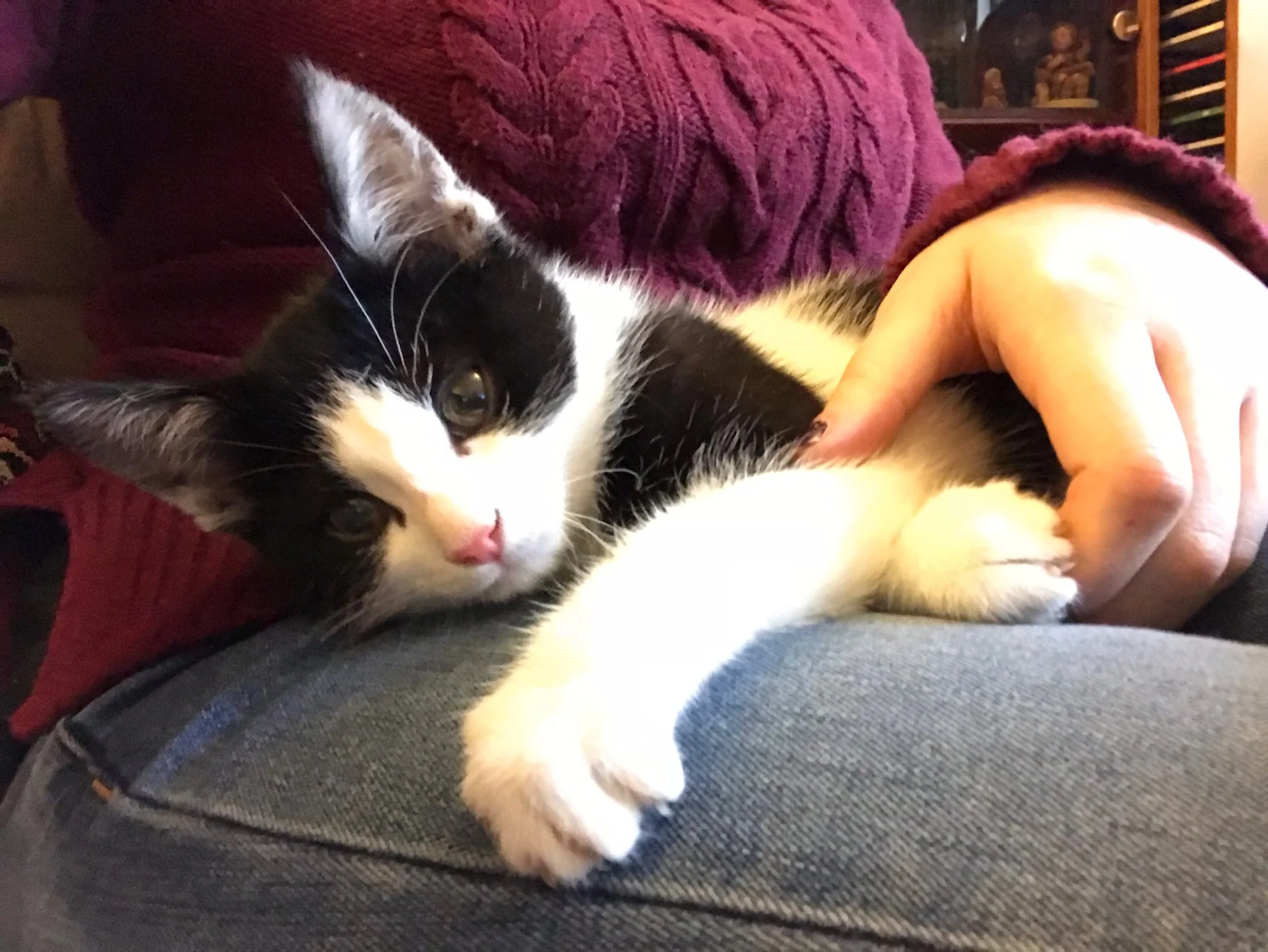 The 14th & 15th; So tedious.