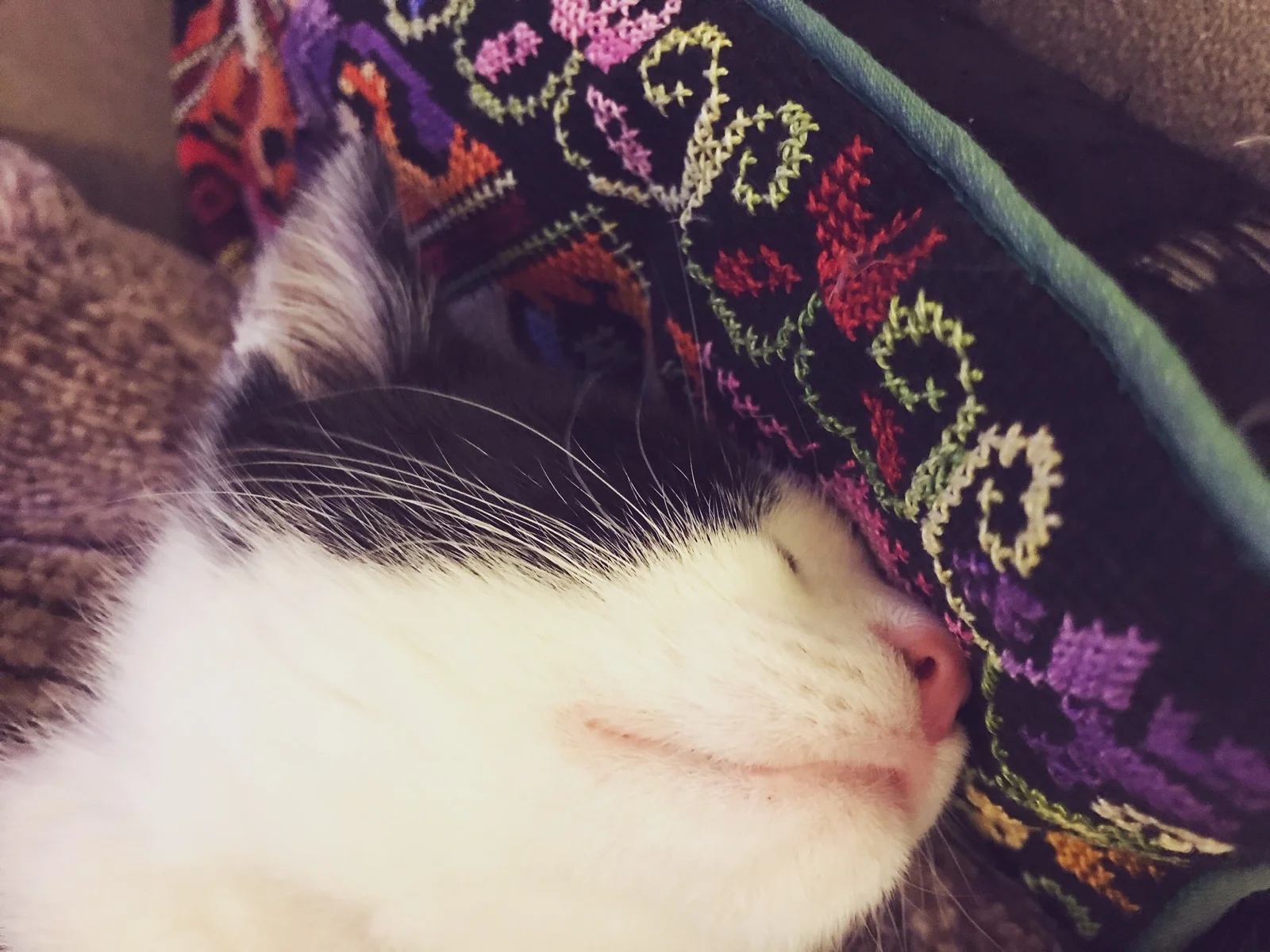 The 18th & 19th; Paths that I worked so hard to learn to ignore.