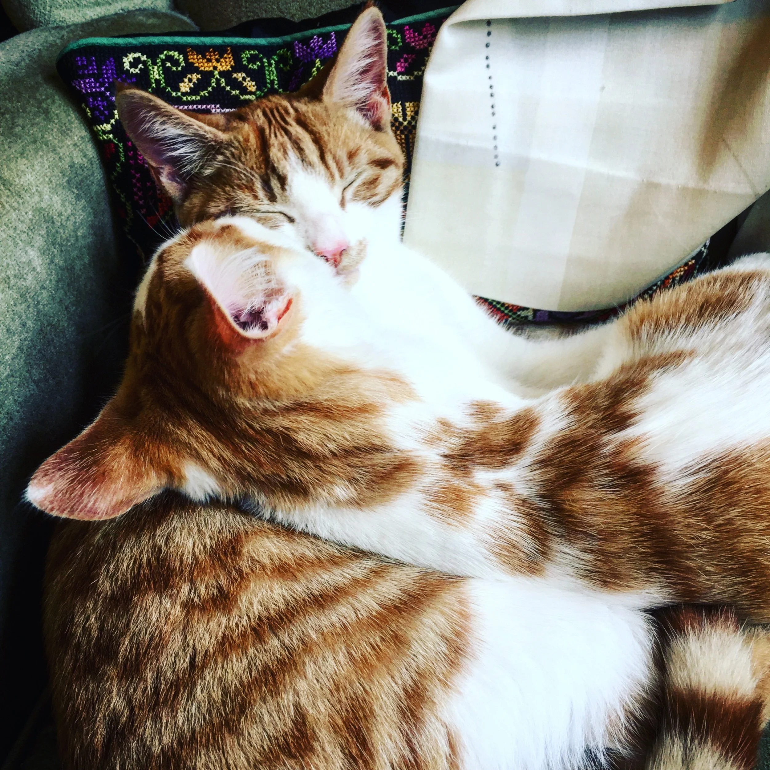 The 16th & 17th; Over and over about how my body doesn't work.