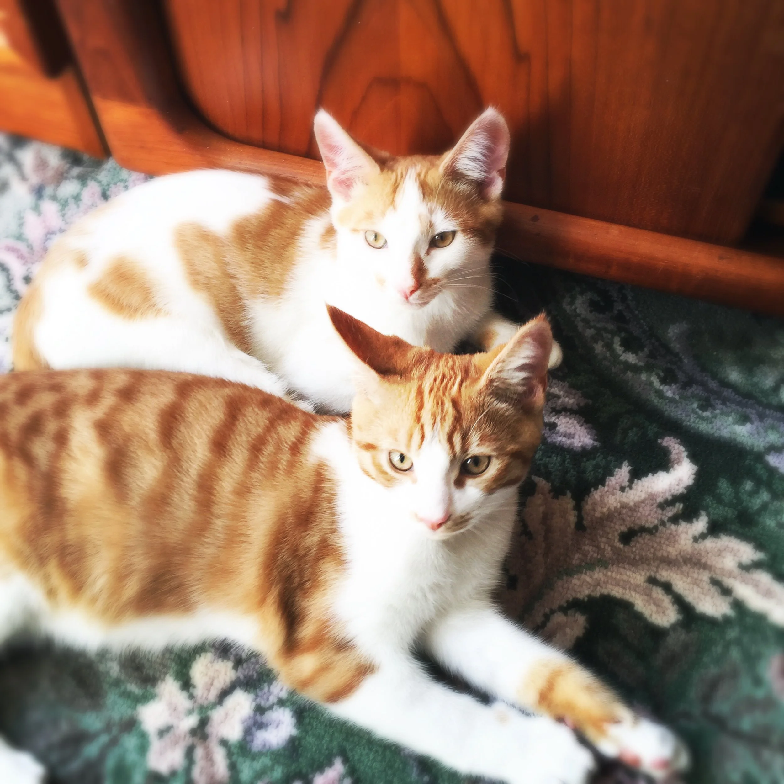 The 18th & 19th; They're such little weirdos.