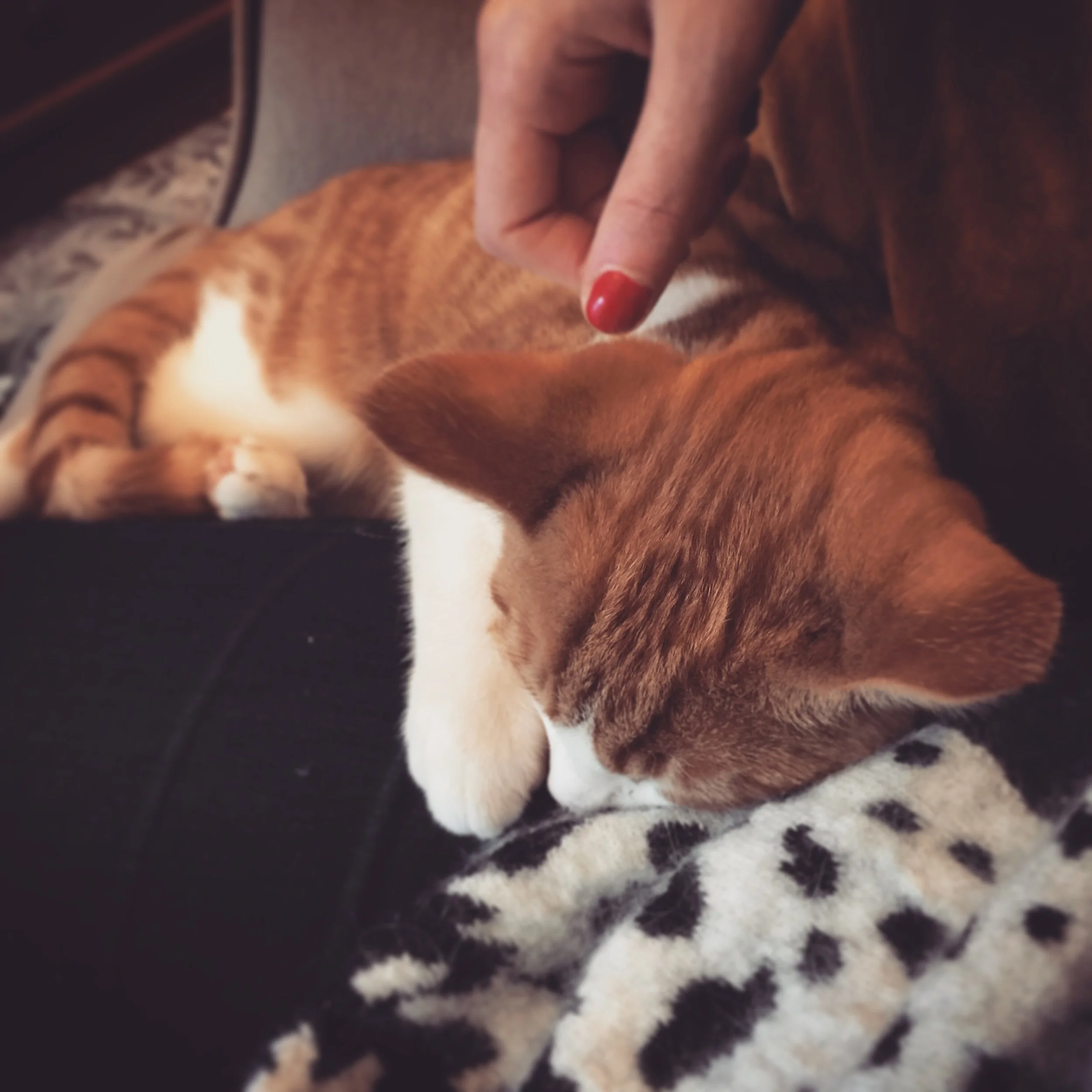 The 20th &amp; 21st; It was a colossal waste of time.