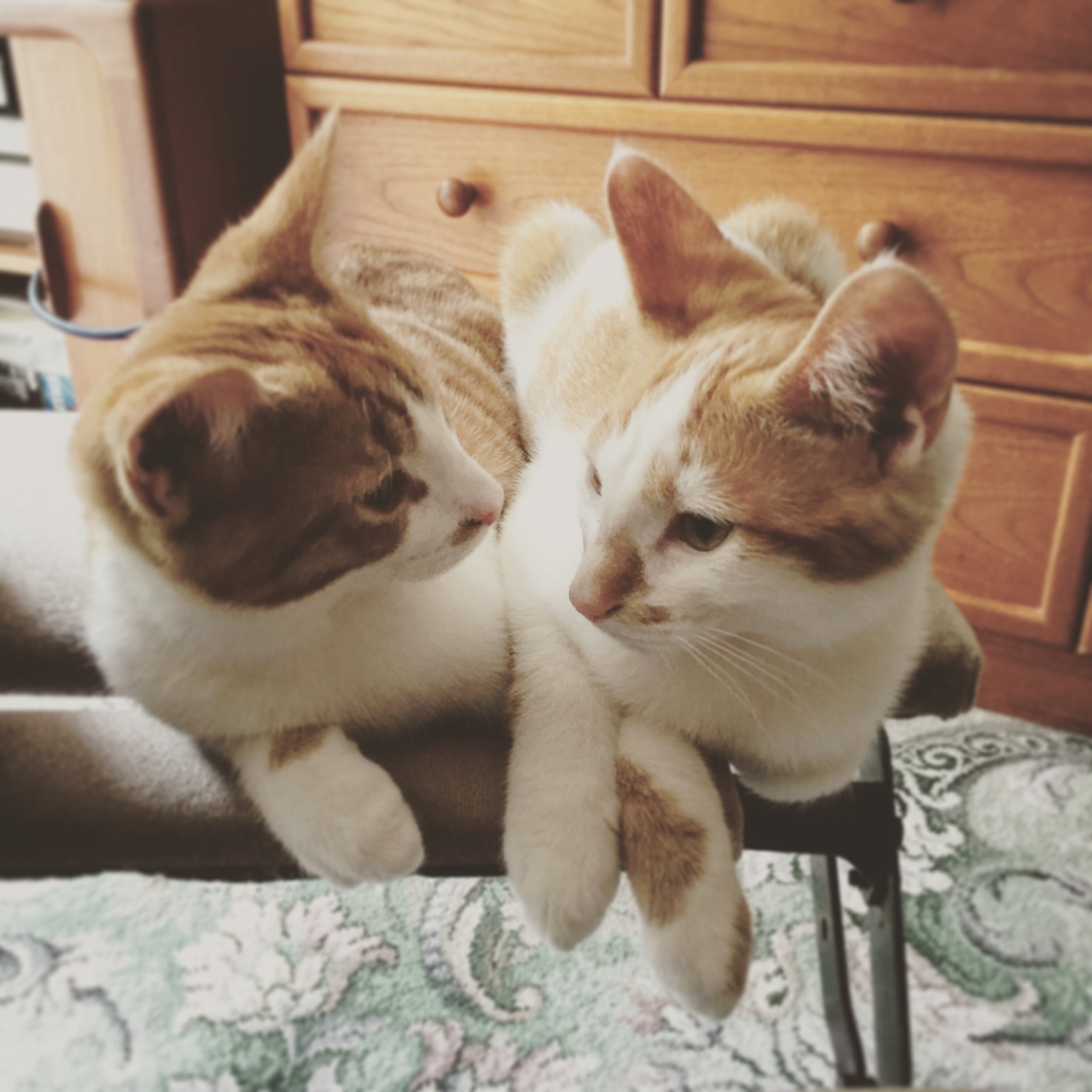 The 22nd & 23rd; Another day, another clinic.