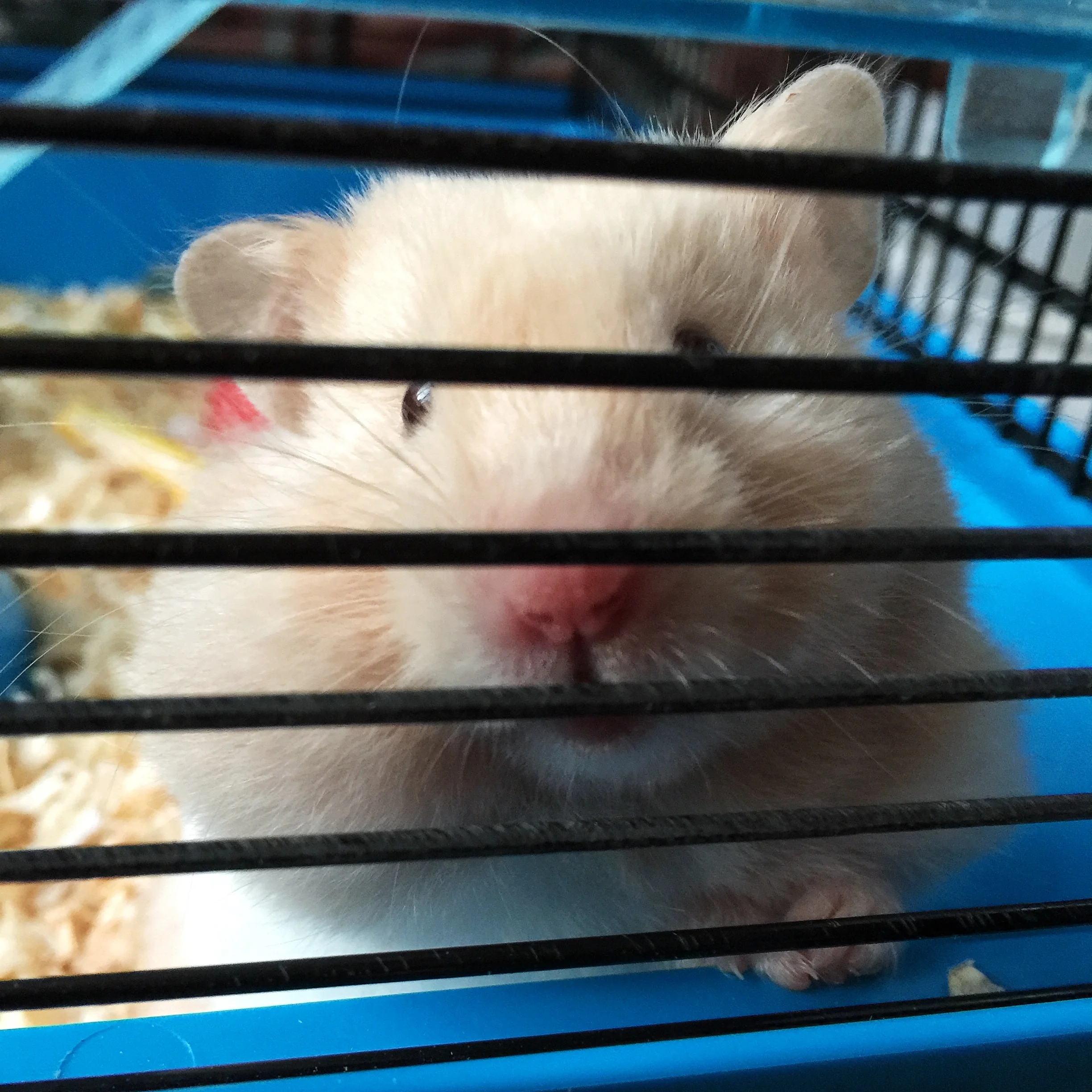 The 5th & 6th; I looked over and Mommy was crying.