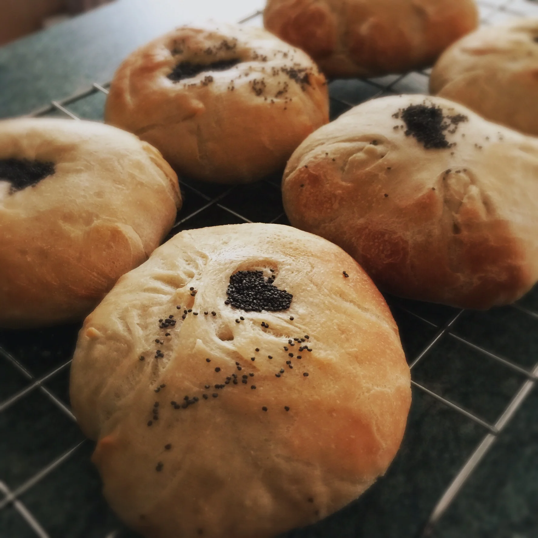 The 29th & 30th; I'm having less coughing fits that leave me feeling like I'm going to die, so that's always good.