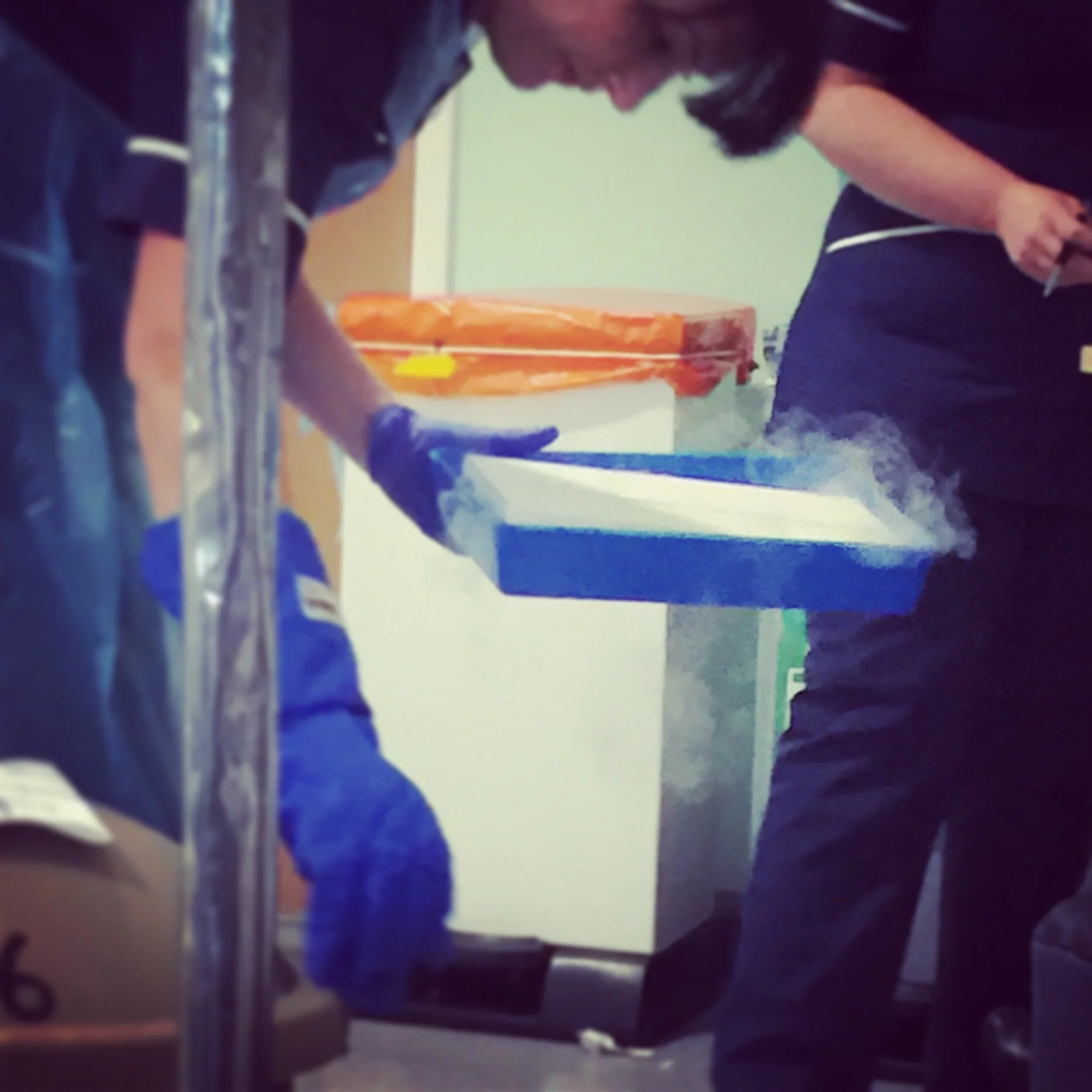 The 6th & 7th; She had her clitoris moved. TWICE.