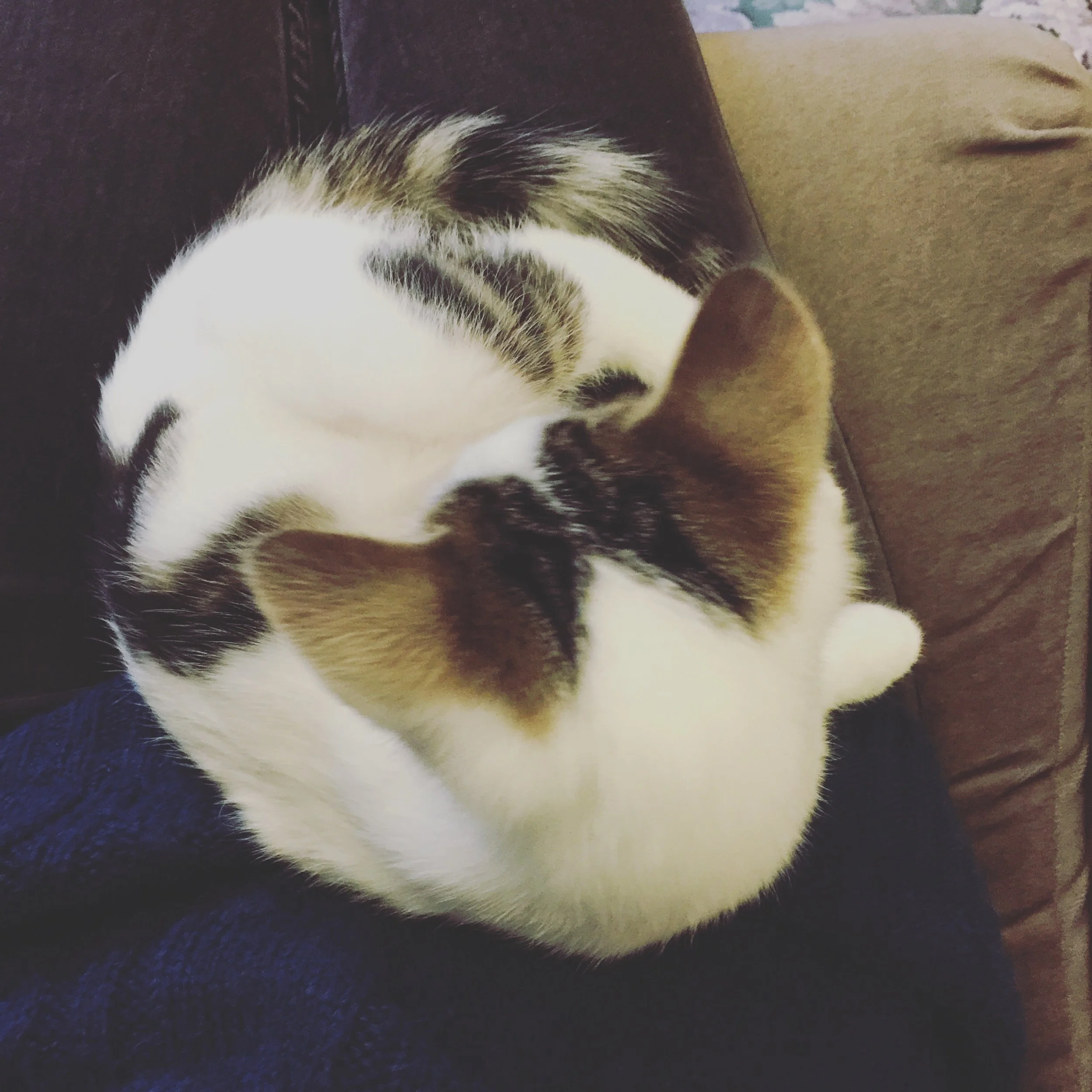 The 18th & 19th; I think I love Neve.