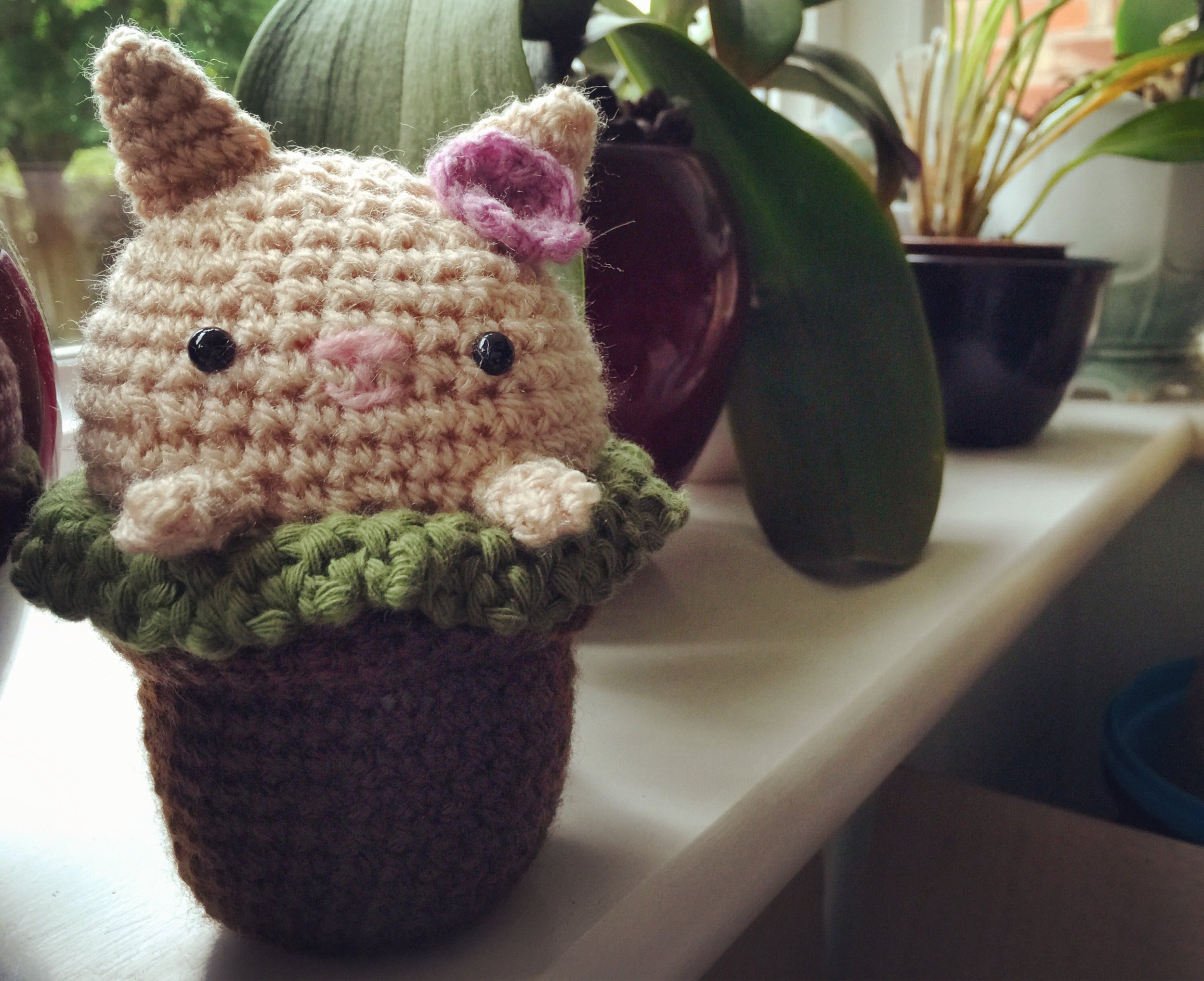 The 31st & 1st; Gabapentin seems to be giving me the trembles.