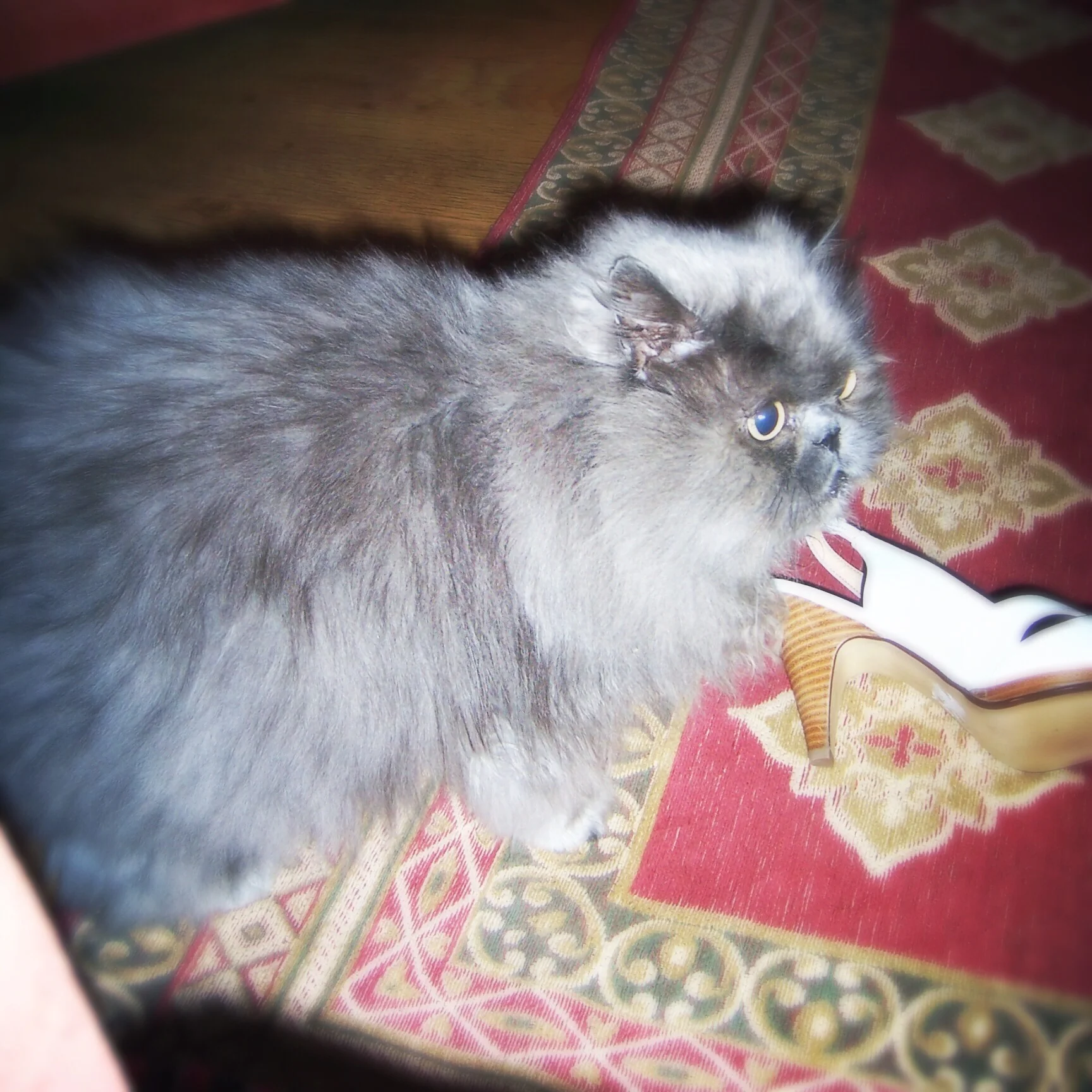 The 10th & 11th; I'm a sentimental fool.