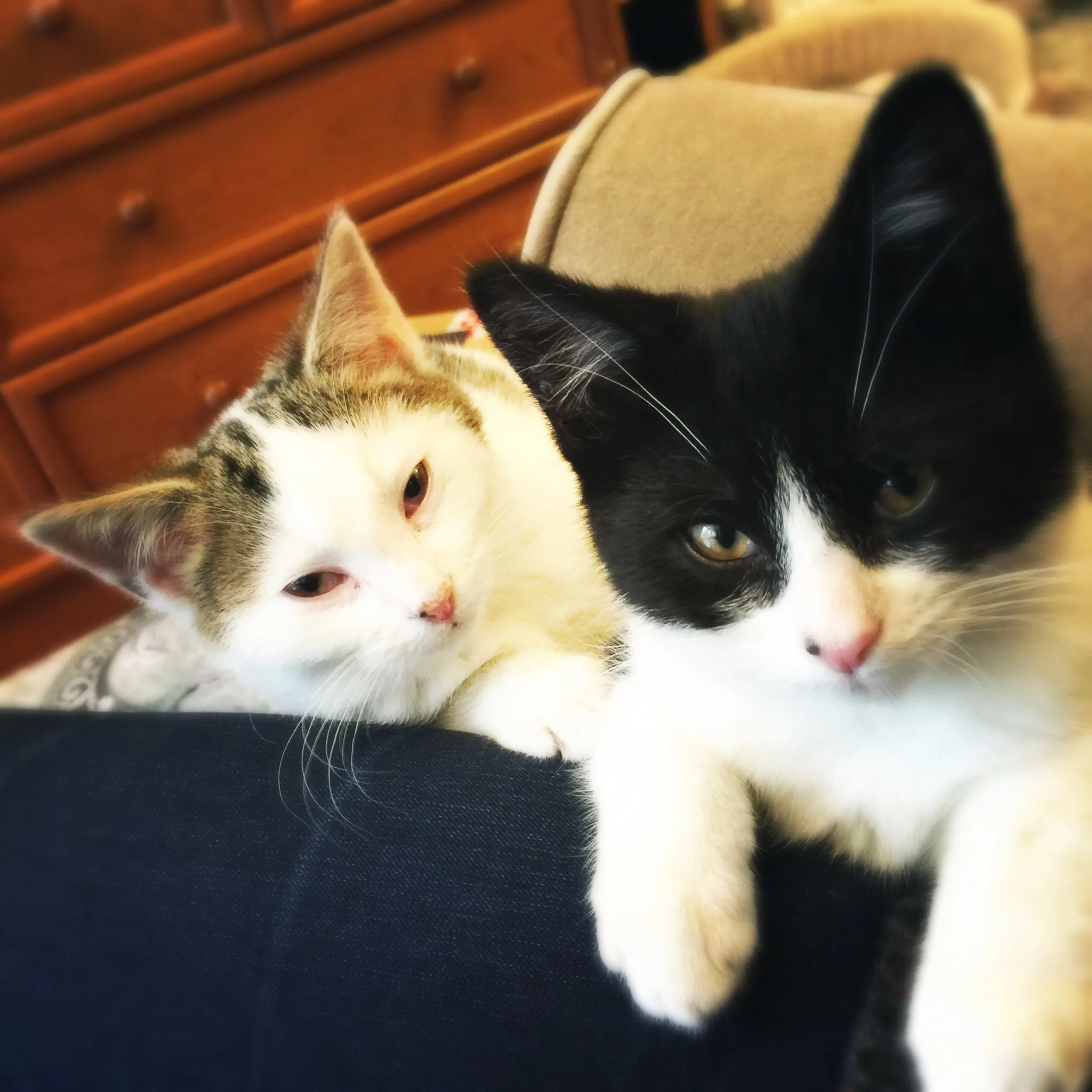 The 22nd & 23rd; Family day out!