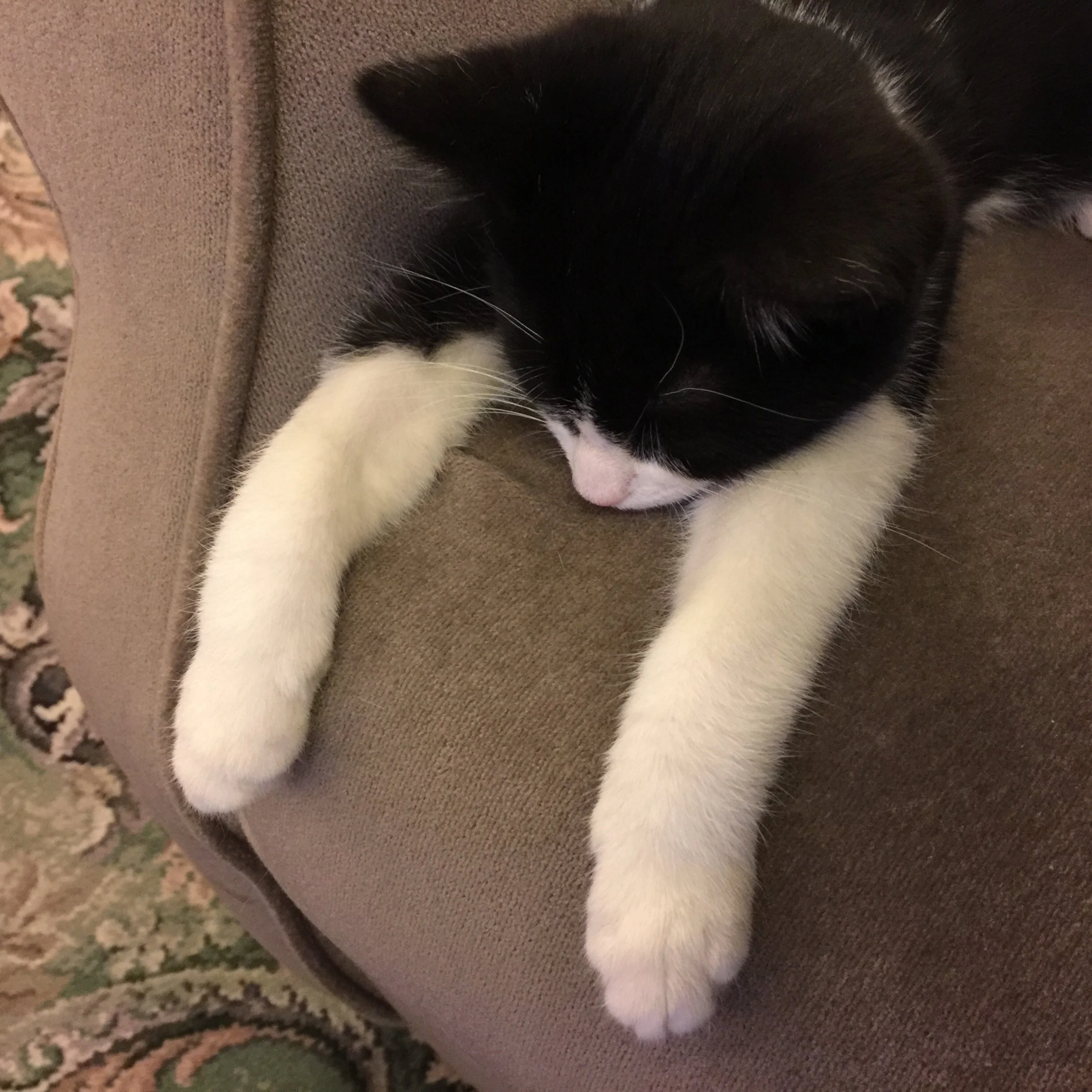 The 26th & 27th; I cried a lot.