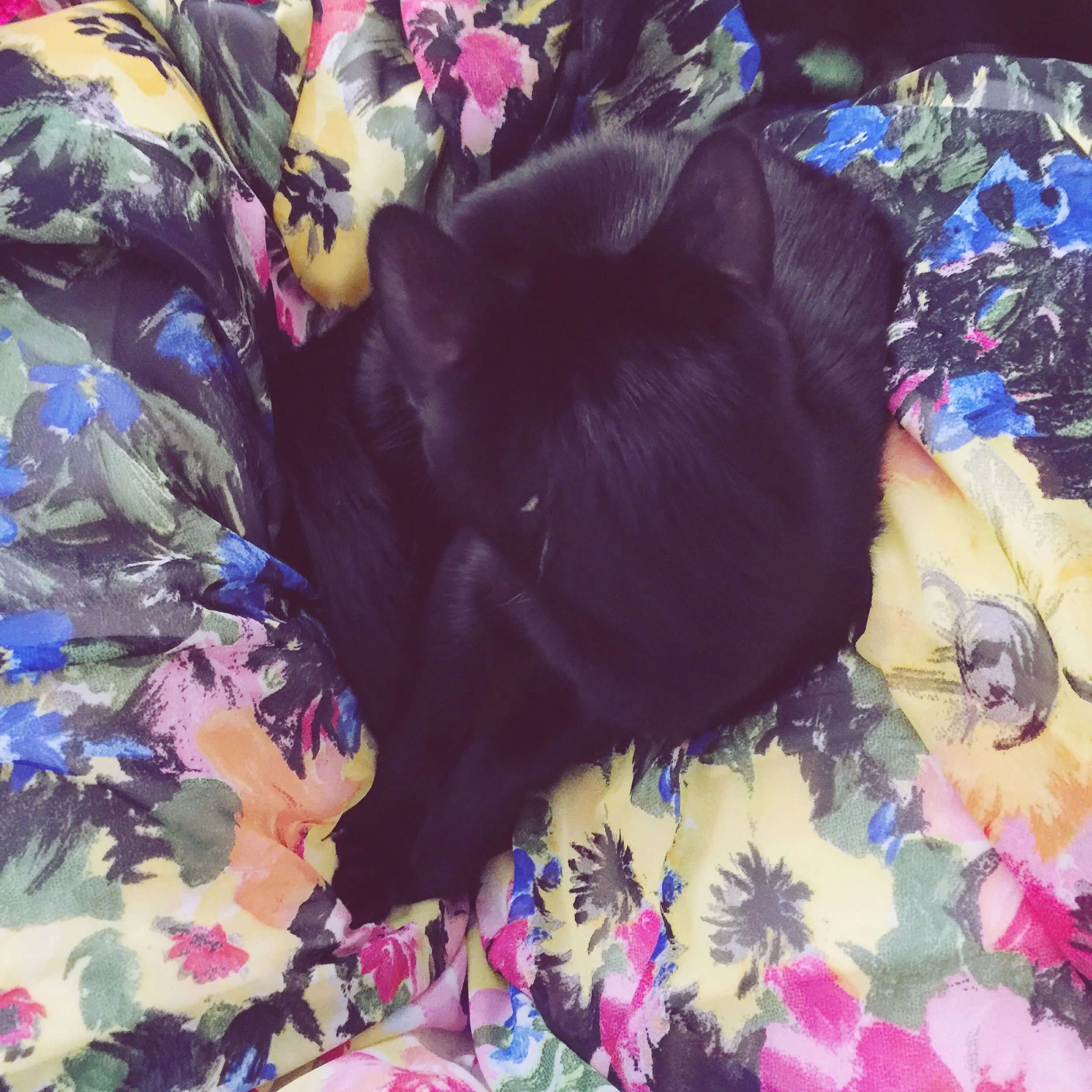 The 14th & 15th; I have done so little.