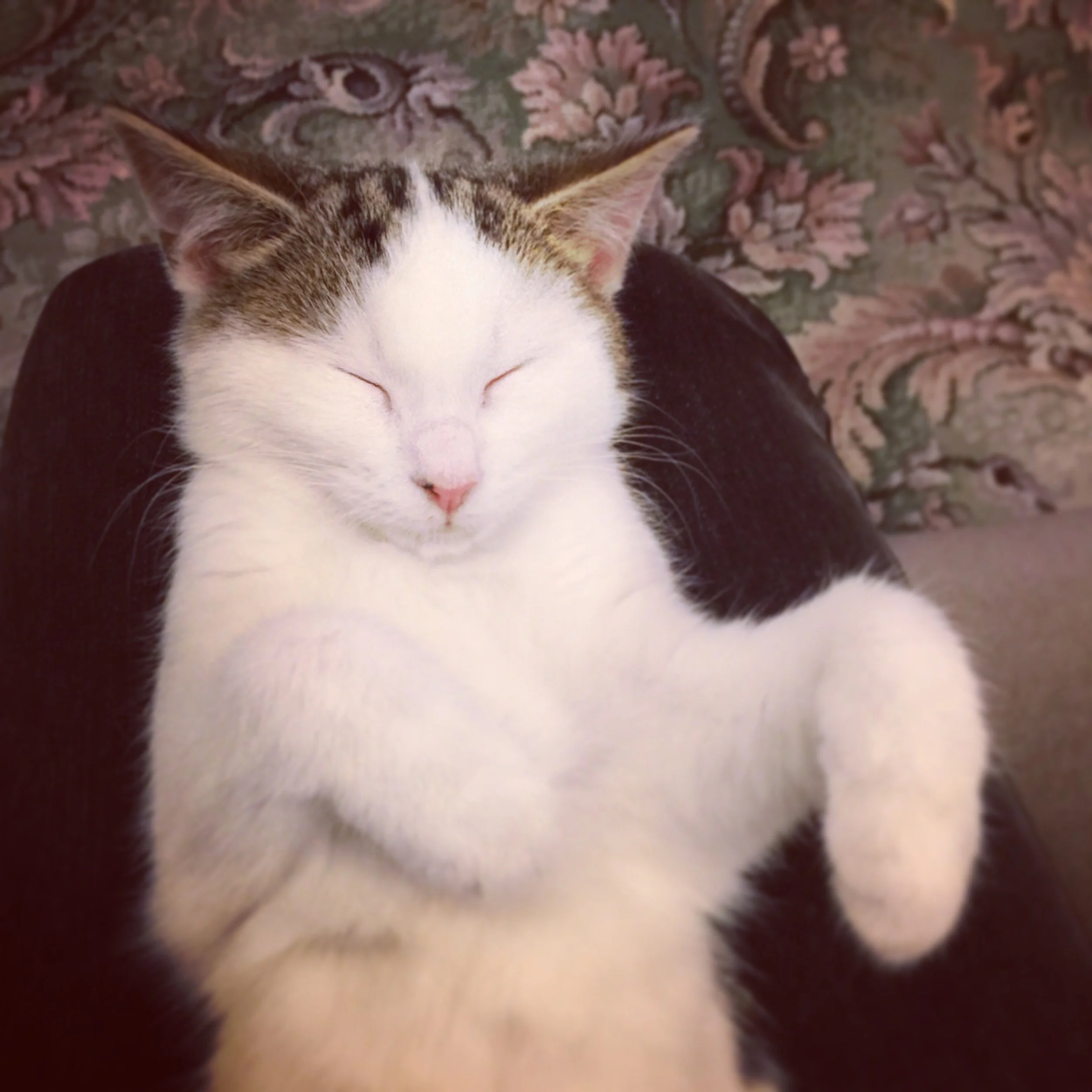 The 28th & 29th; Still coughing.