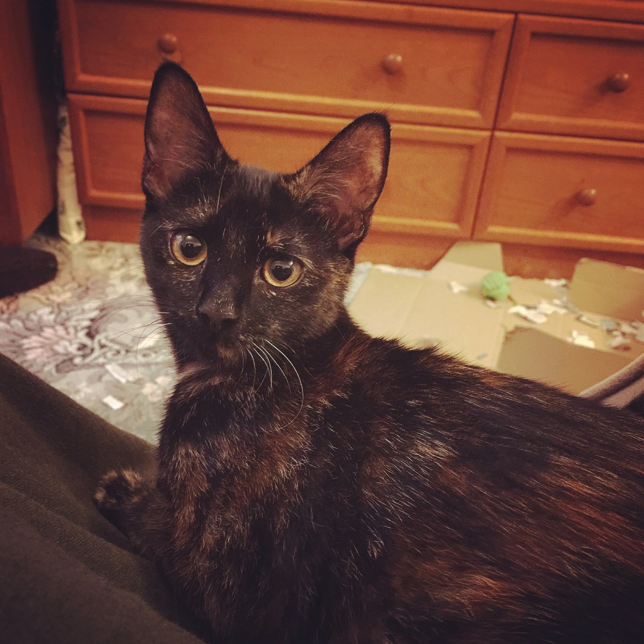 The 22nd & 23rd; Such a life of glamour I lead.