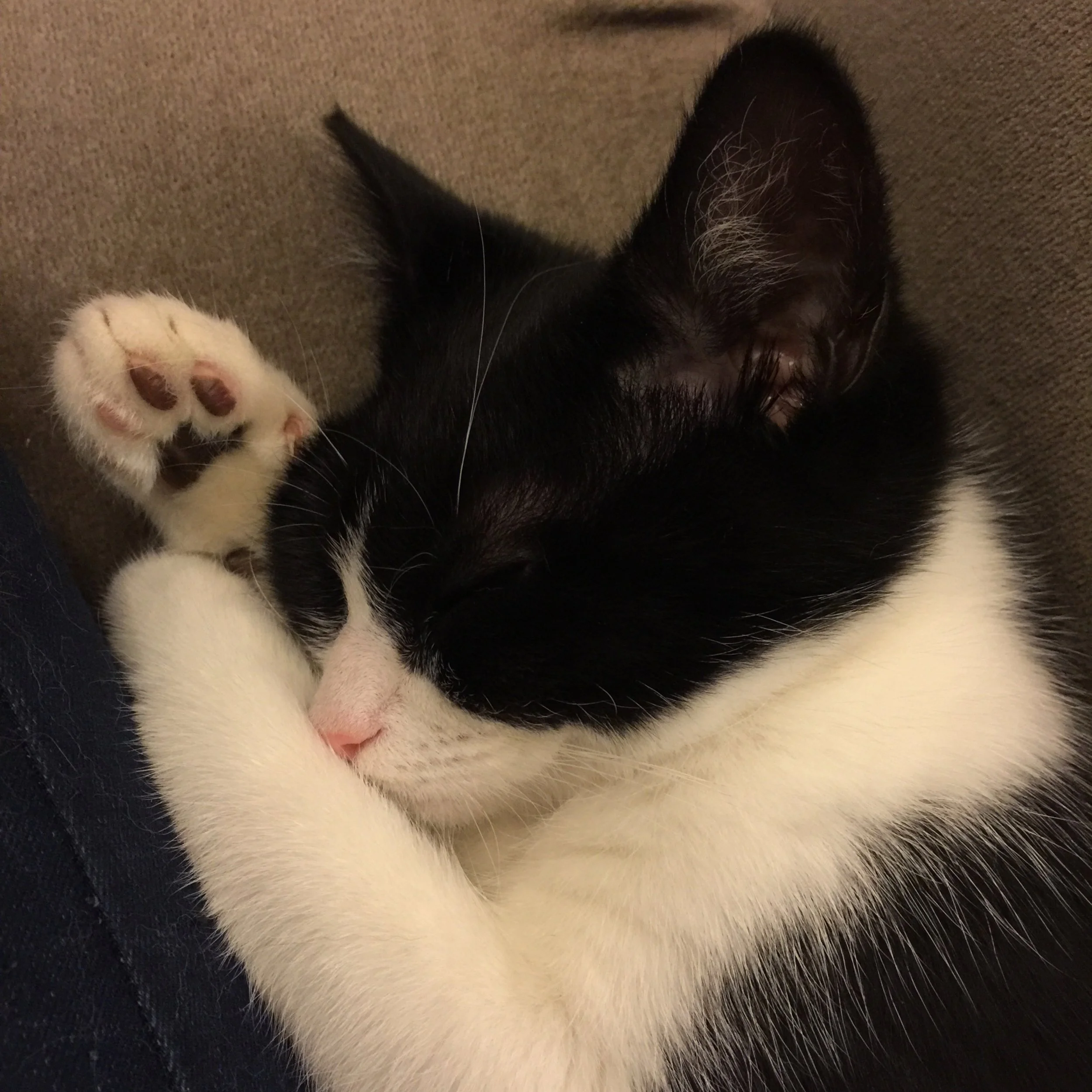 The 3rd & 4th; I am no longer coping with this cough.