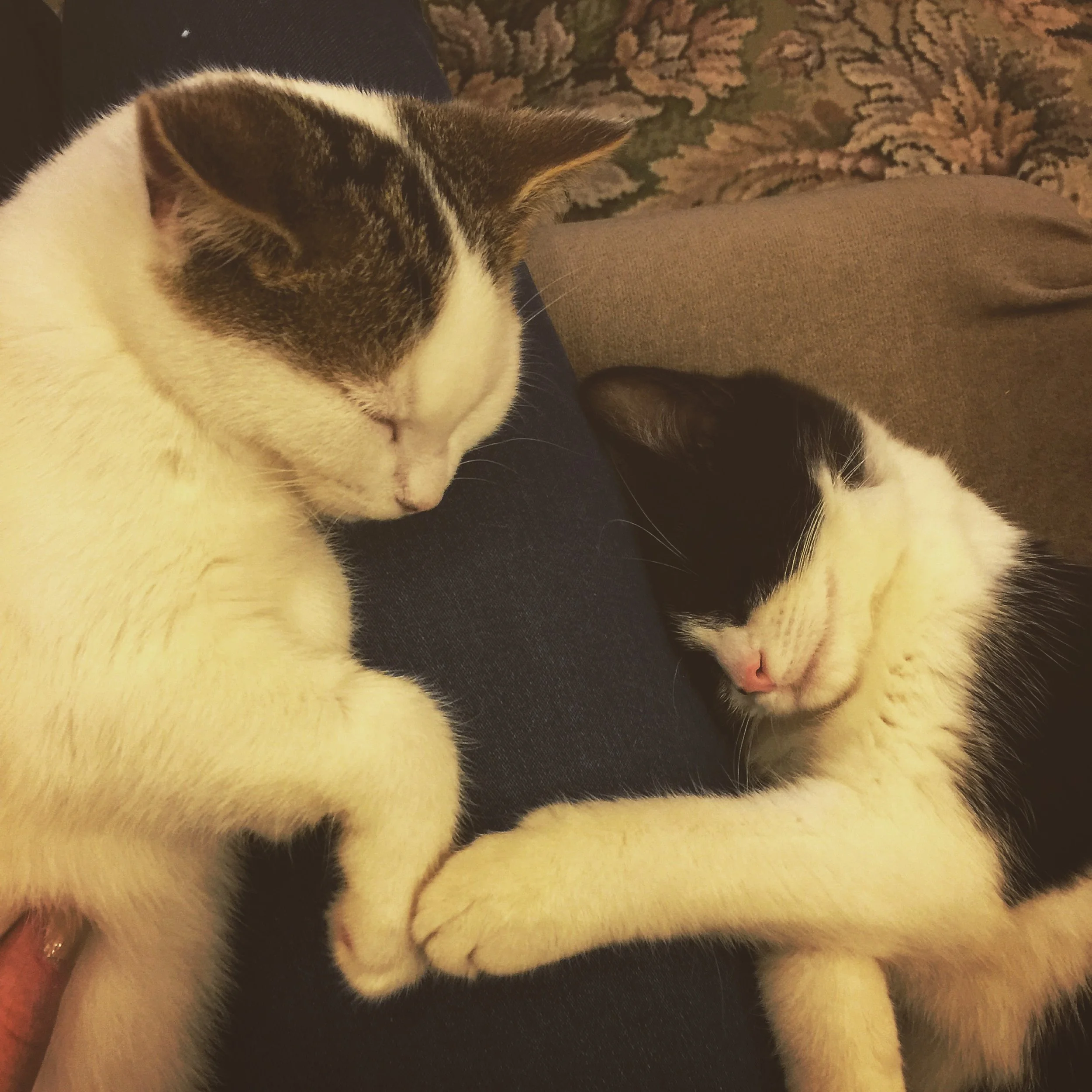 The 9th & 10th; I still feel like shit in the morning.