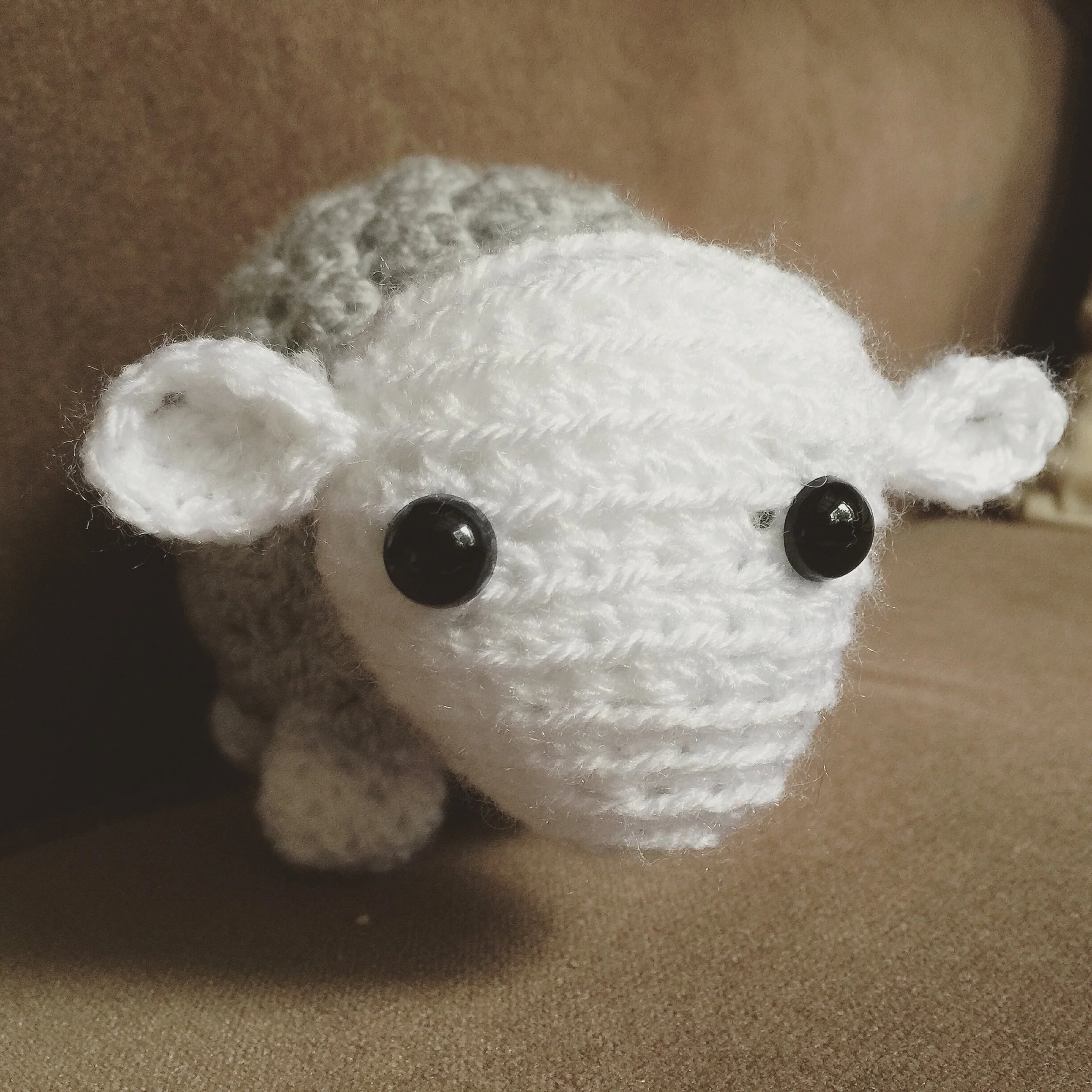 The 28th & 29th; Hanging on by the skin of my teeth.