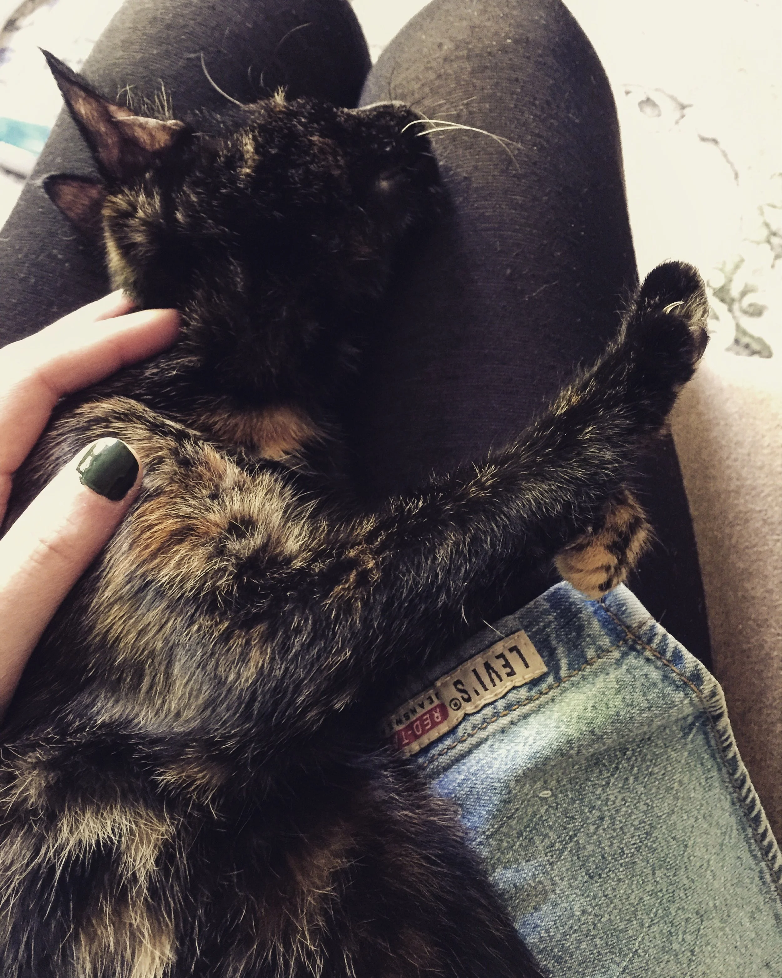 The 1st & 2nd; She is my favourite.