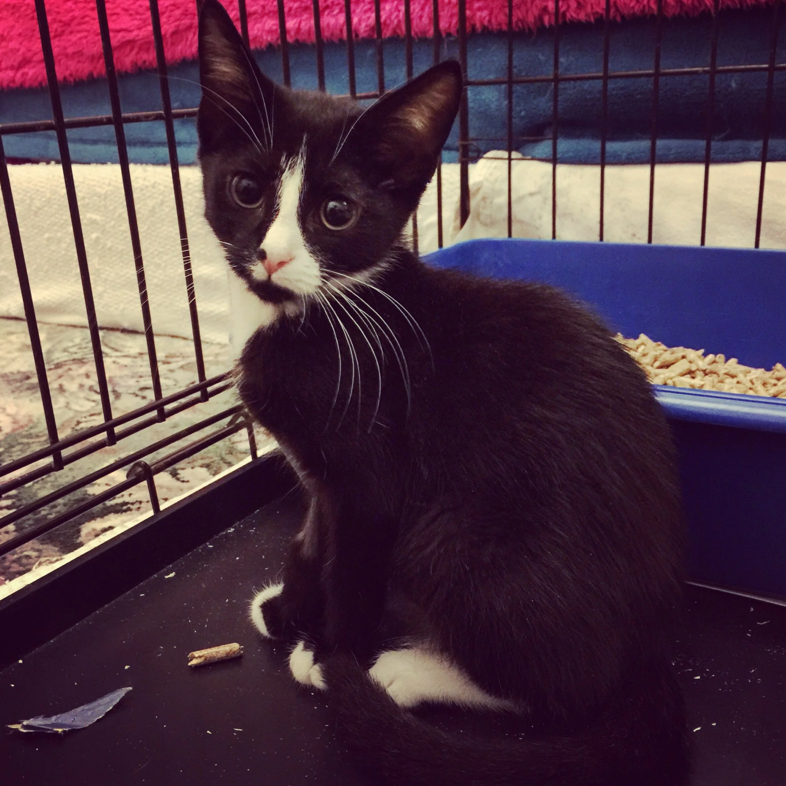 The 5th & 6th; It's agonising.