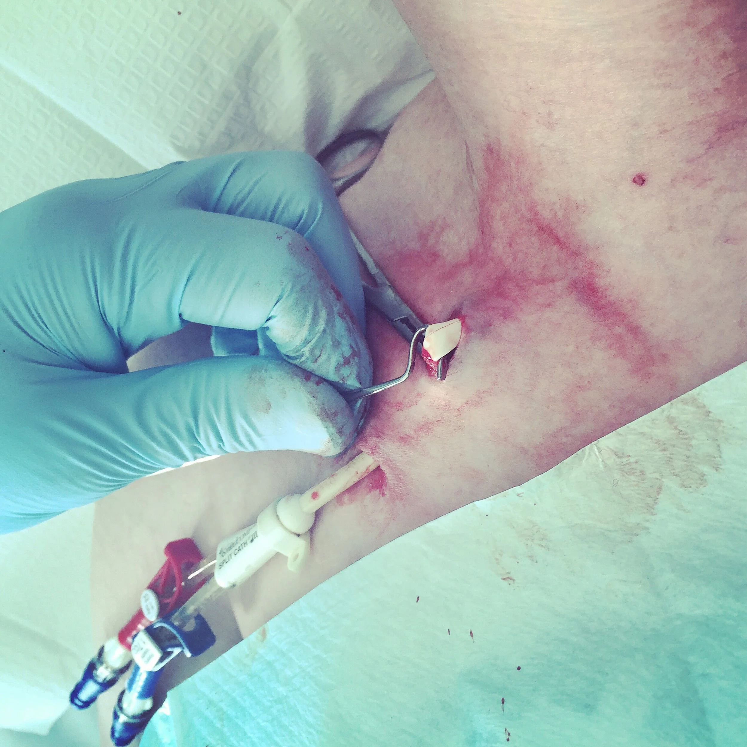 The 30th & 31st; I am a brave girl, apparently.