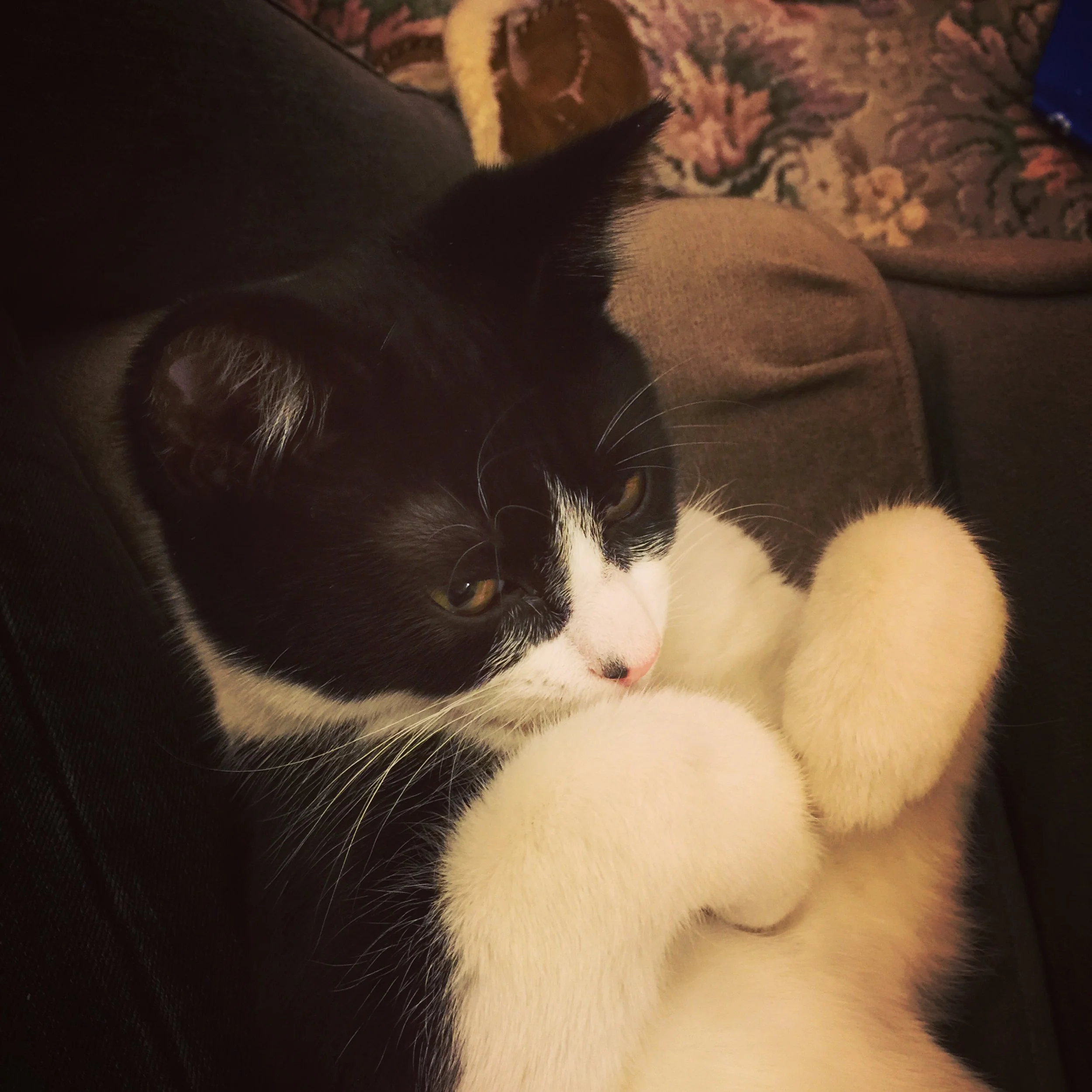 The 25th & 26th; How inspirational I am.