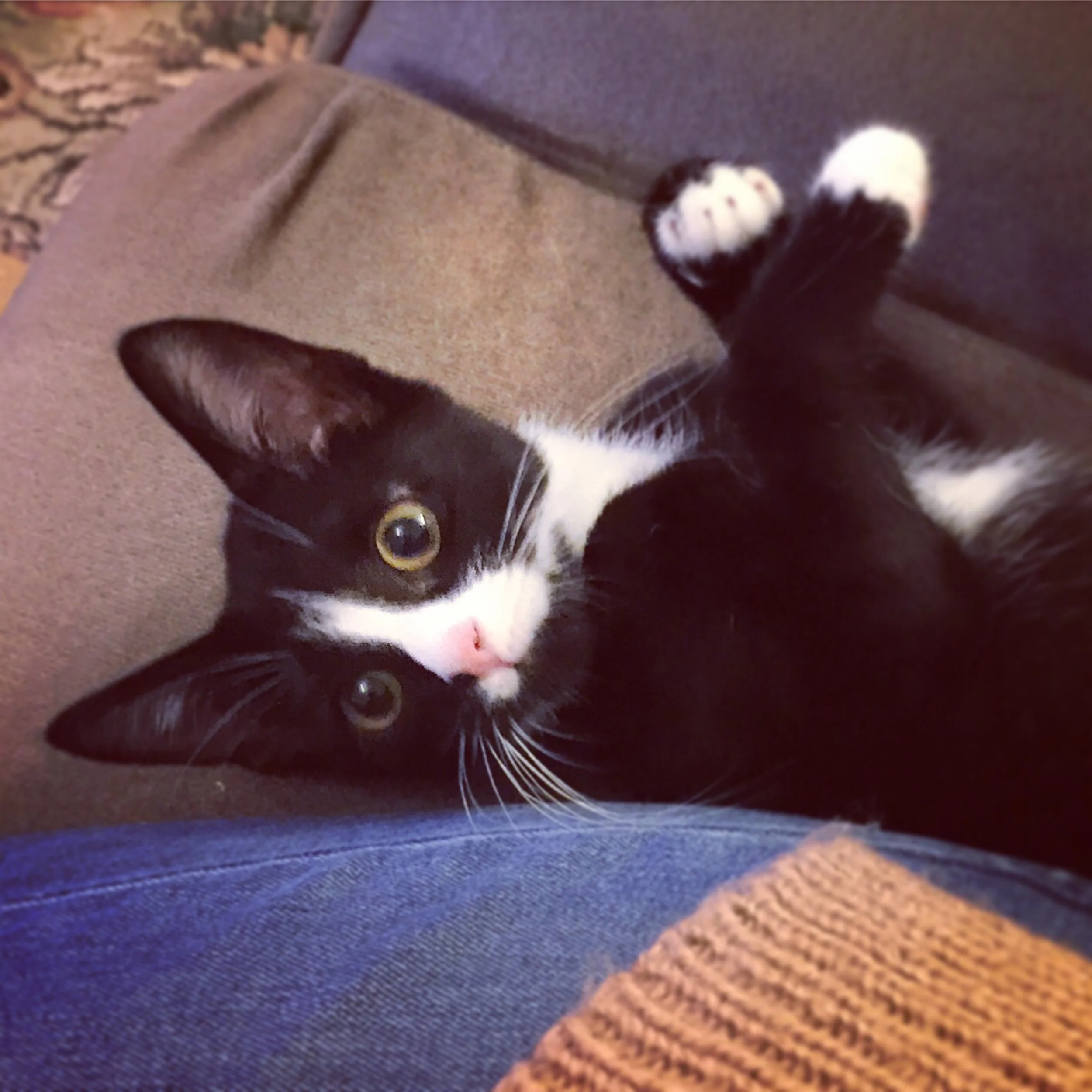 The 9th & 10th; Pick a season.