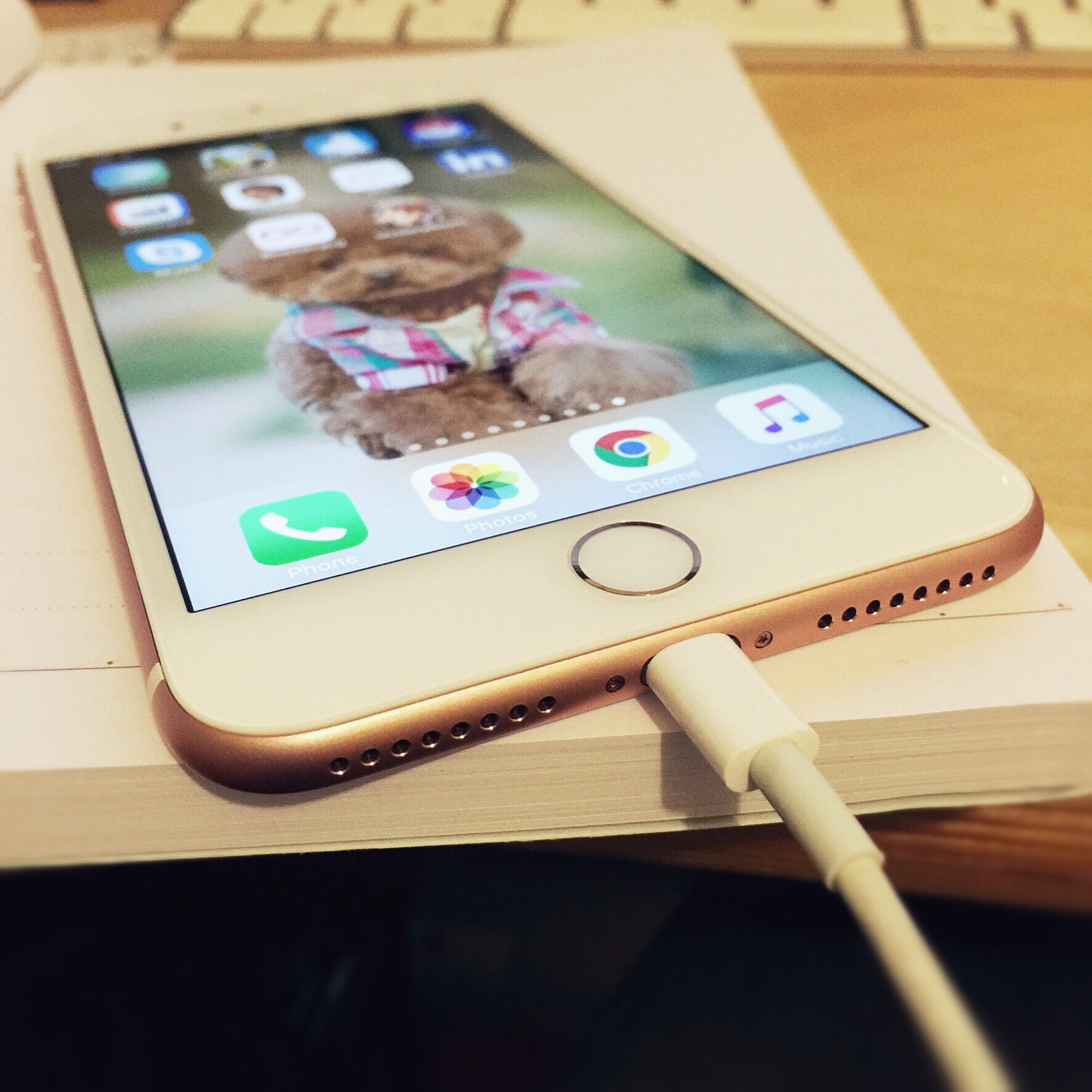 The 15th & 16th; He's never seen scans of a back like mine.