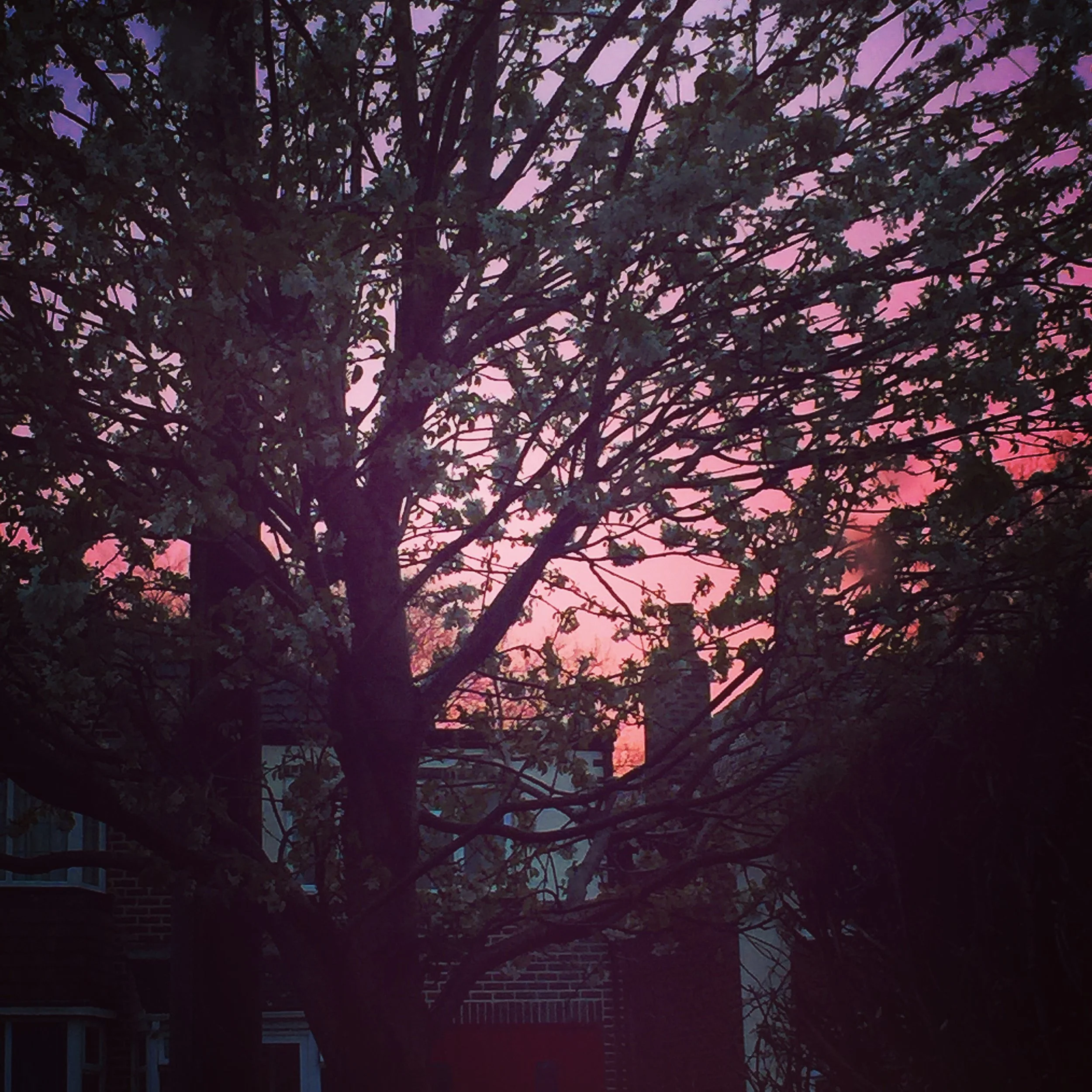 The 11th & 12th; At least I don't feel sad today.