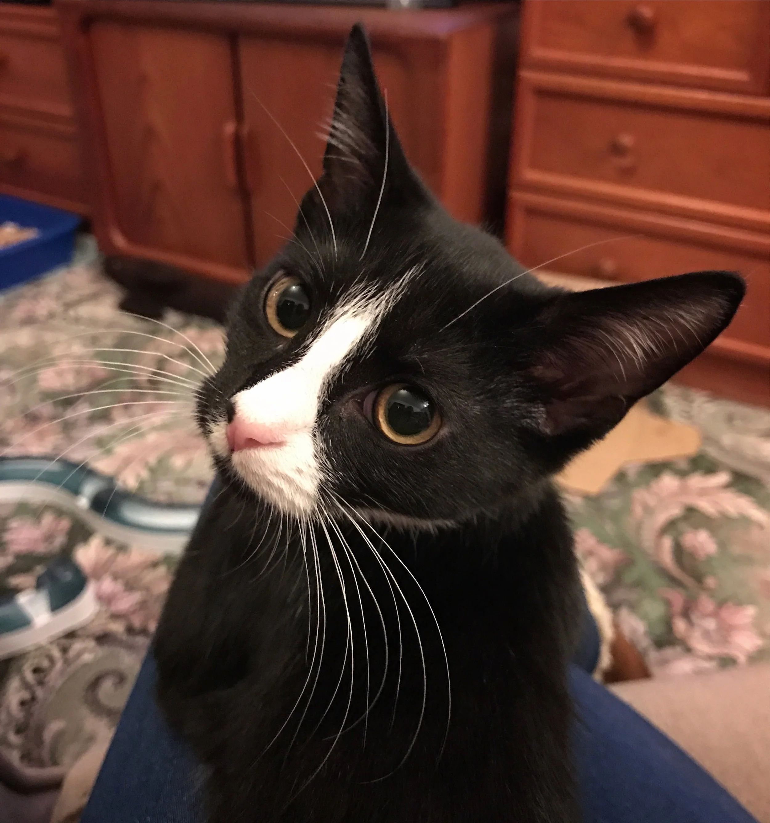 The 17th & 18th; My fingers feeling like icicles.