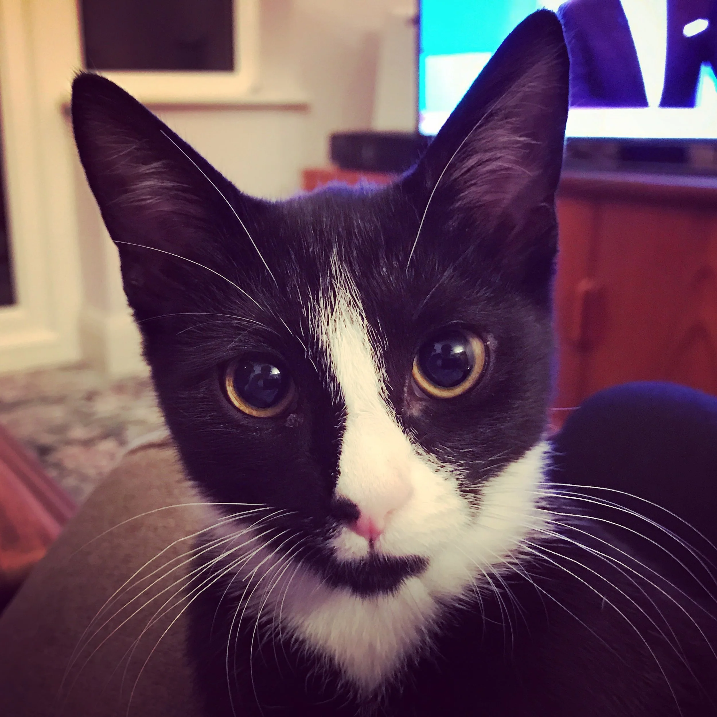 The 25th & 26th; Regular clothes suck.