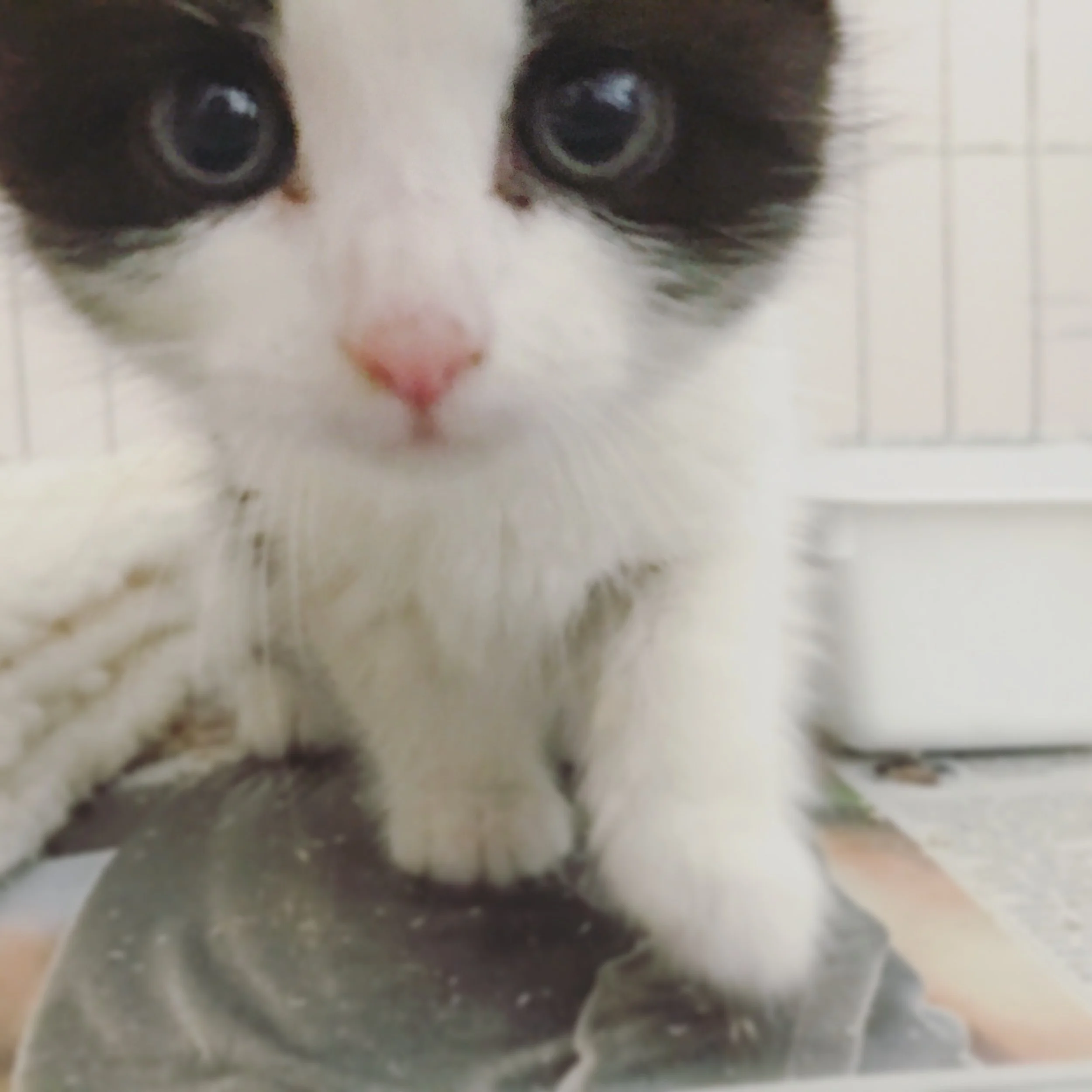 The 3rd & 4th; She is perfect.