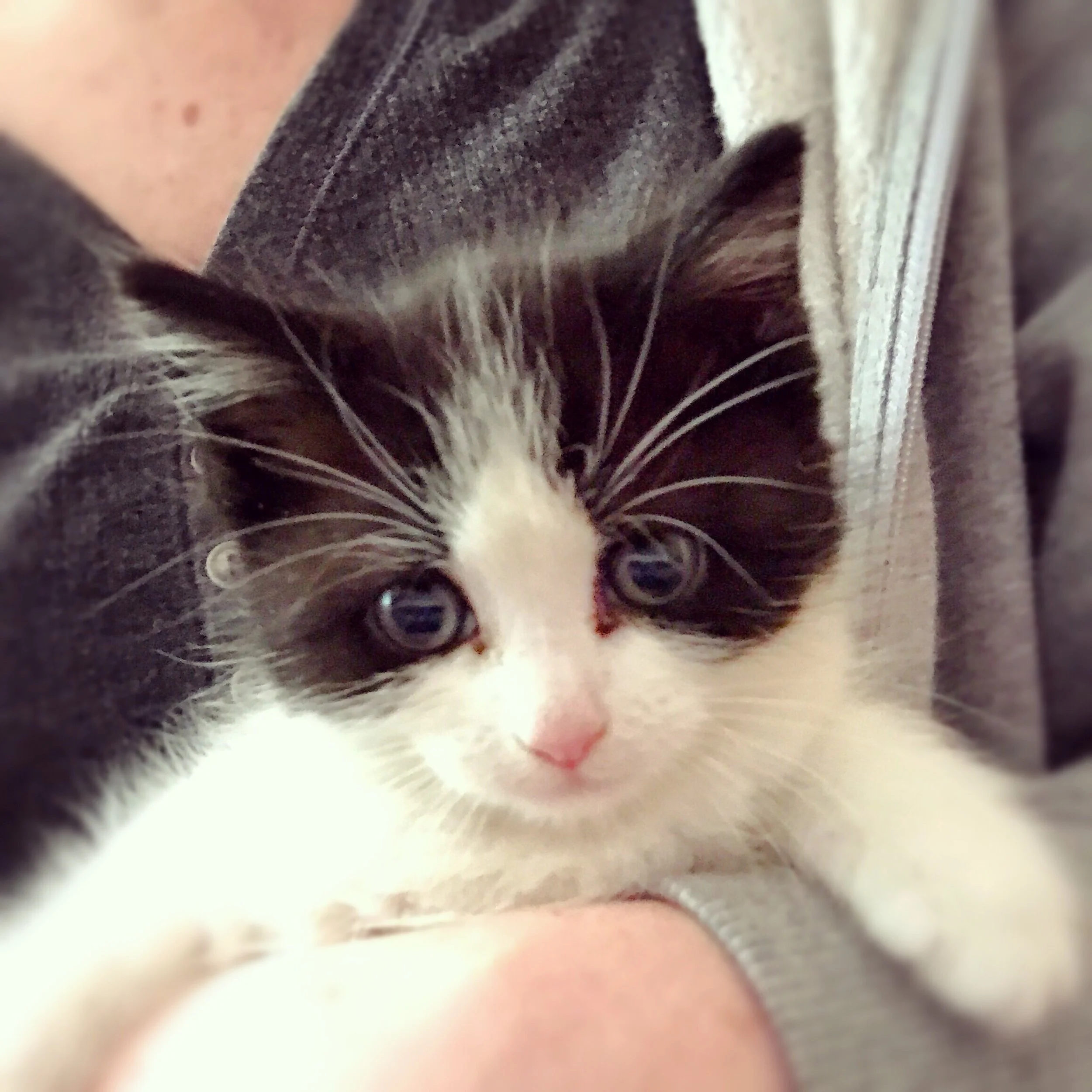 The 5th & 6th; My face hurt from laughing so much.