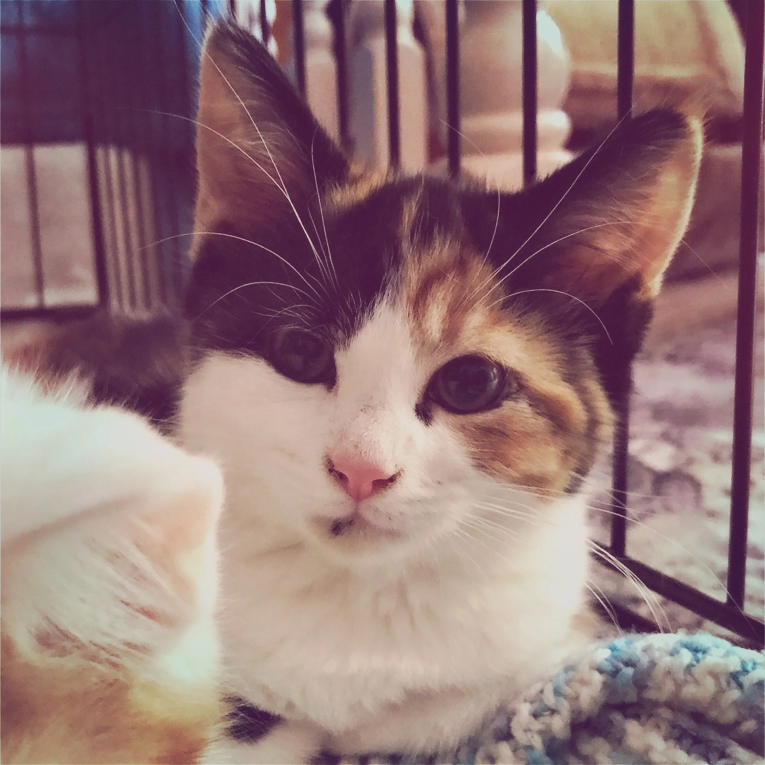 The 13th & 14th; So. Much. Crocheting.