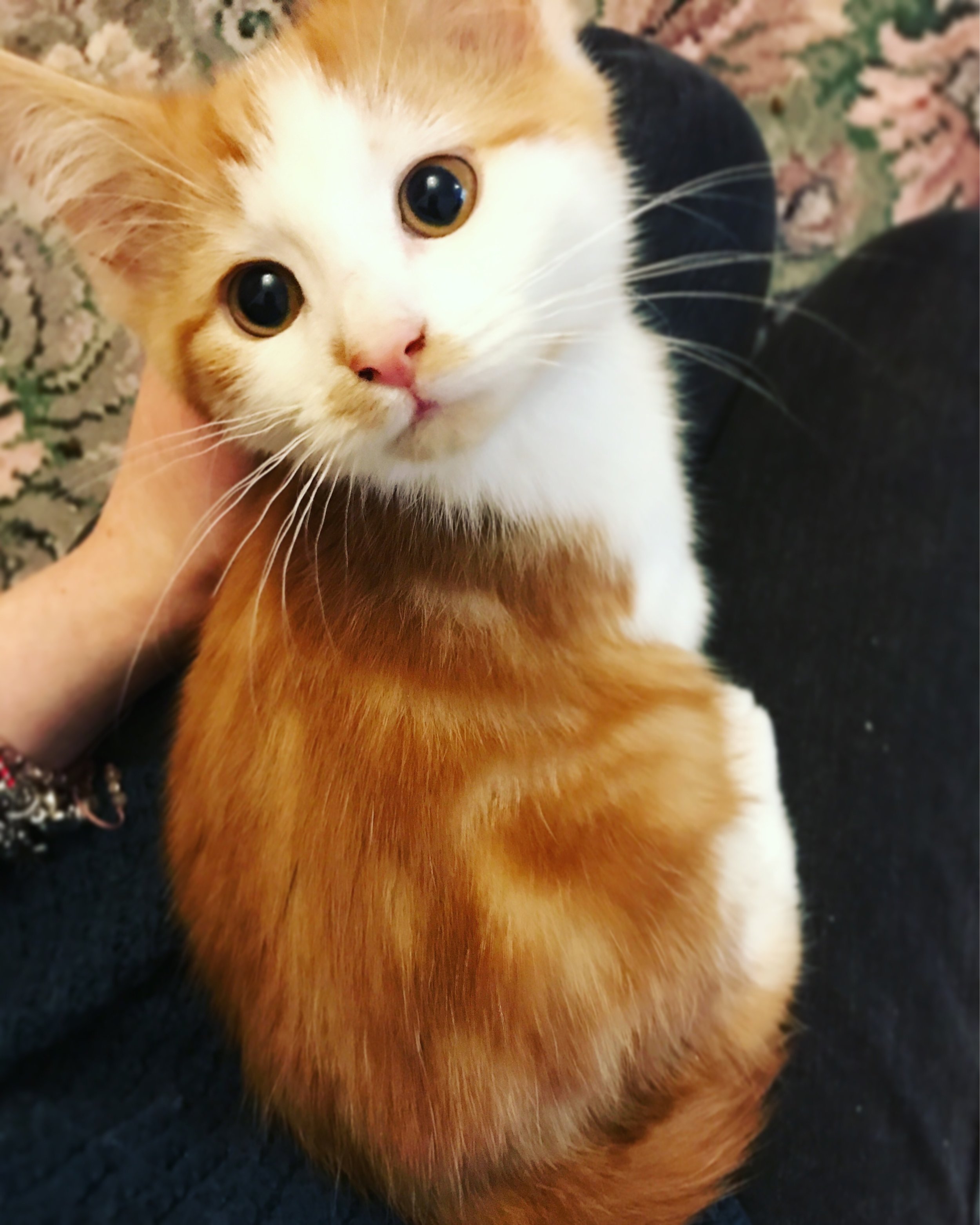 The 15th & 16th; I think I will die not from a superbug, but from an underfunded system.