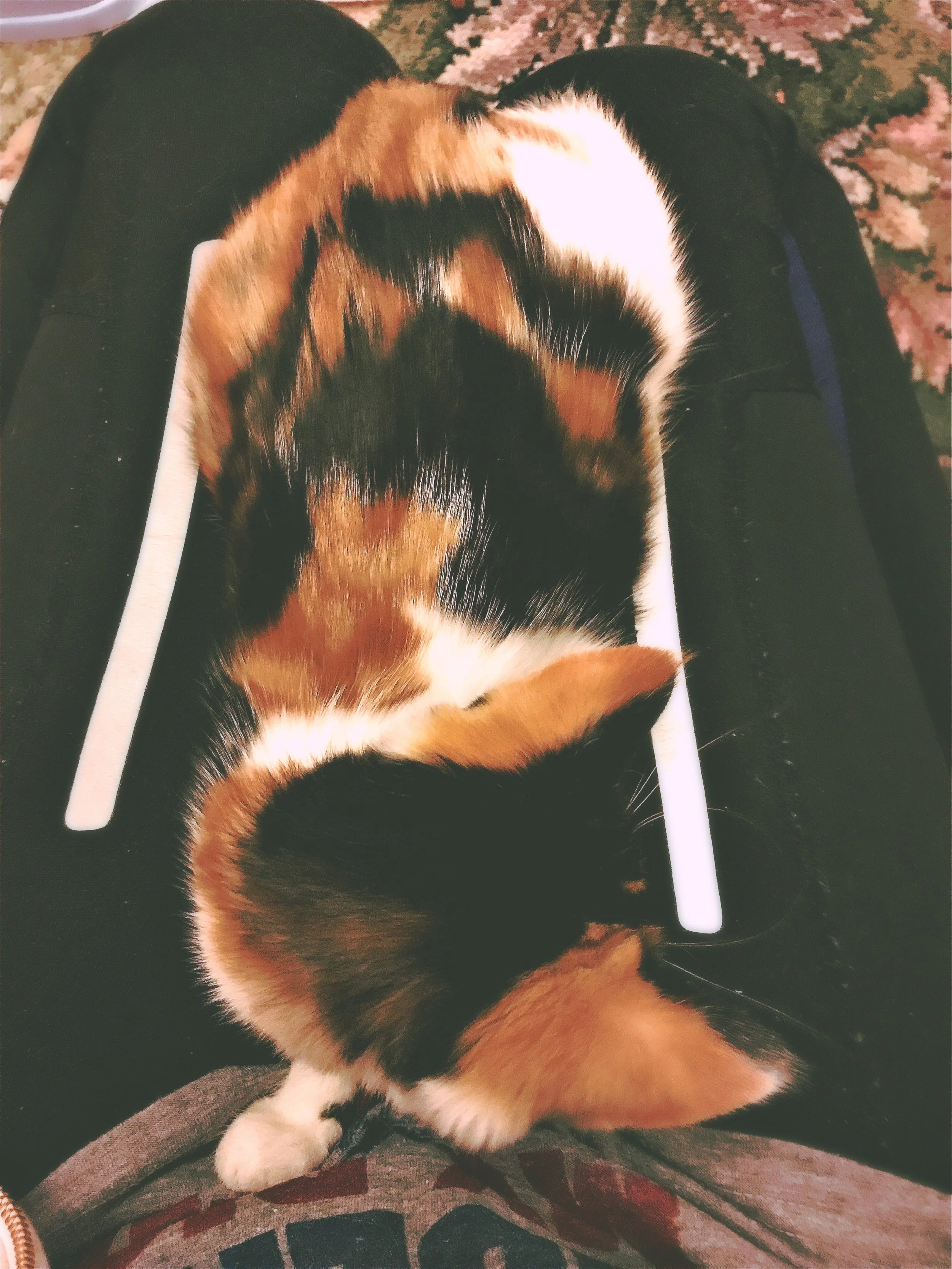 The 23rd & 24th; She was wrong.