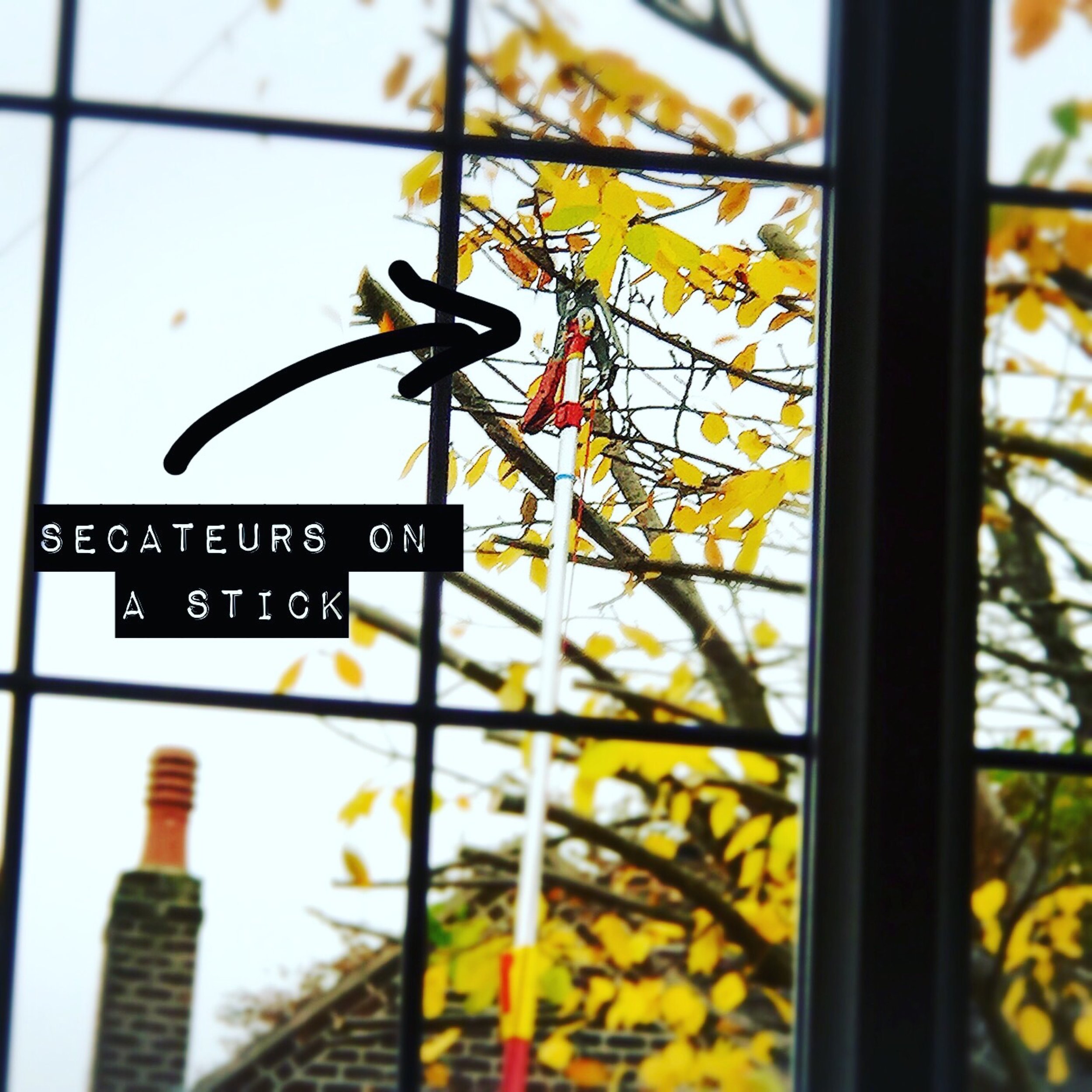 The 29th & 30th; I am in the minority.