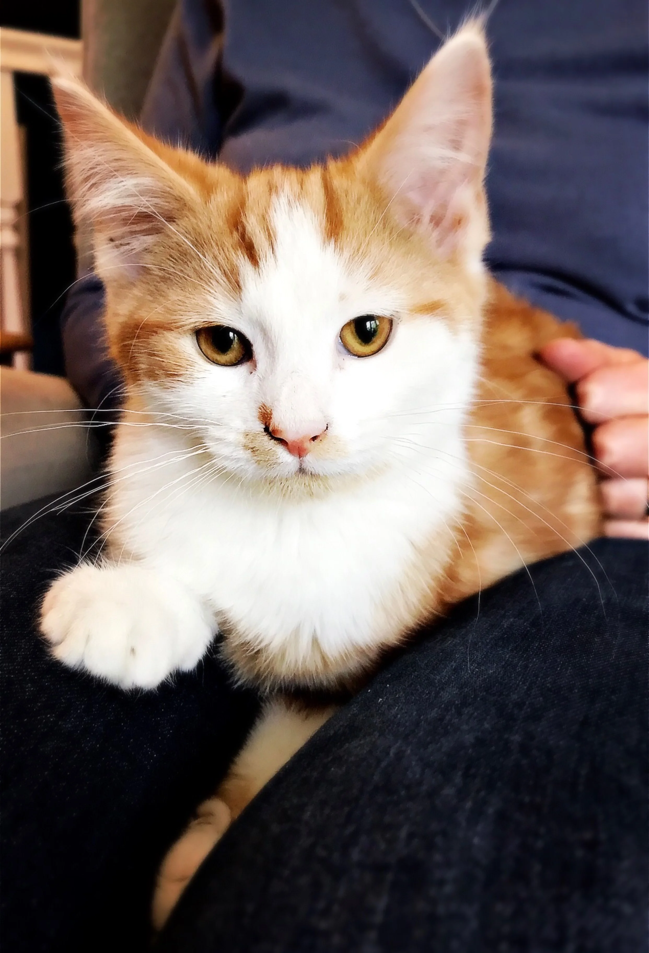 The 6th & 7th; It'll just be Archie.