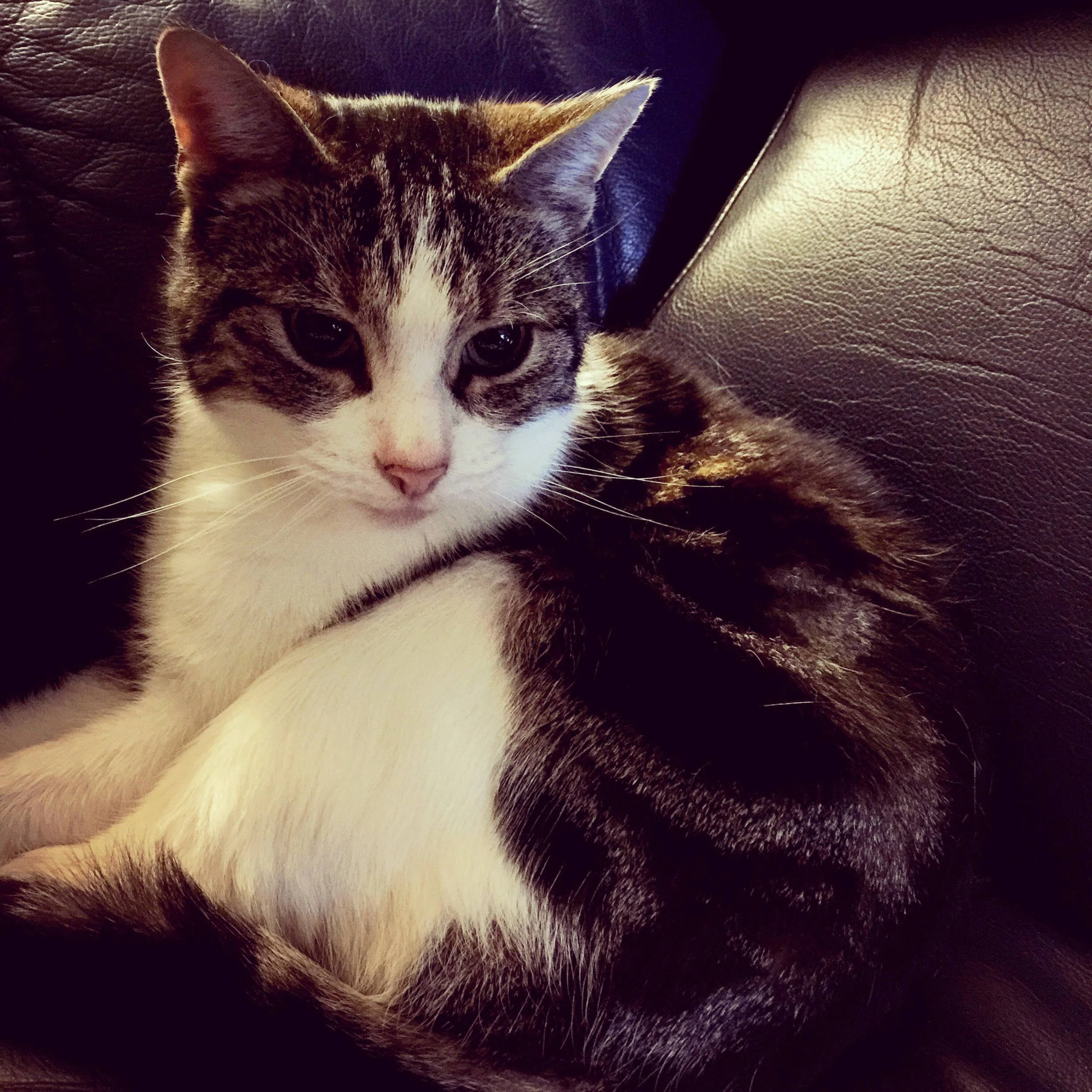 The 26th & 27th; "If I die, then it means I have lived."