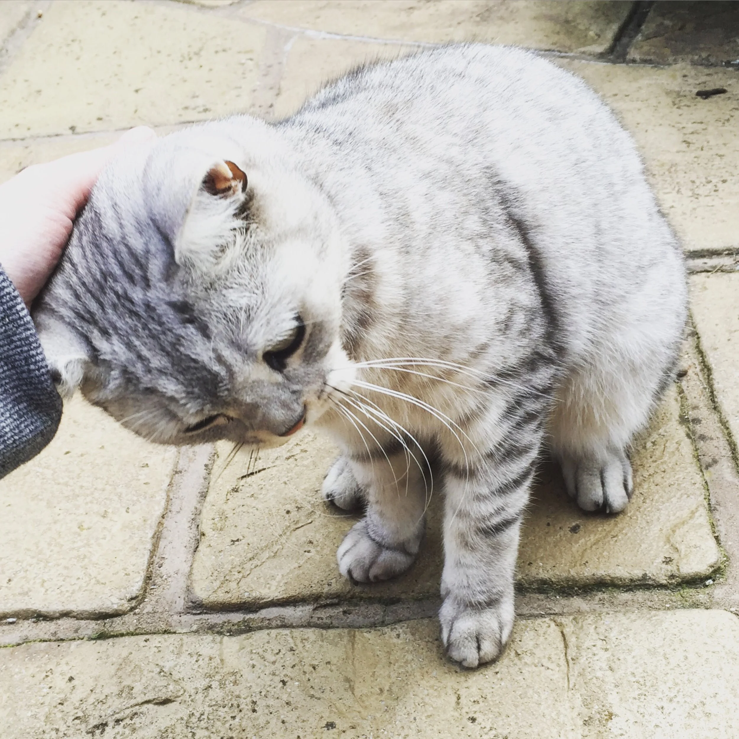 The 5th & 6th; A really excellent day!