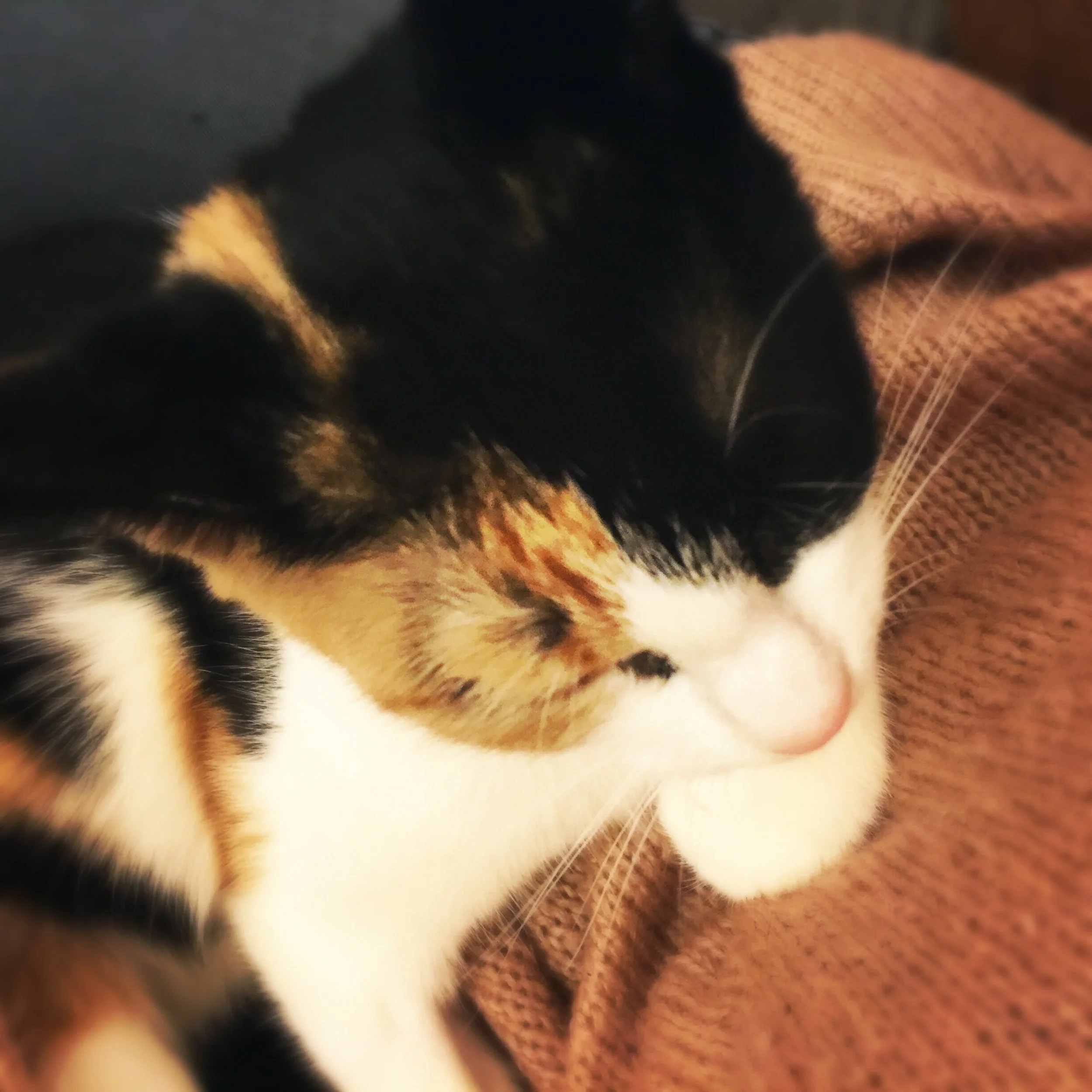 The 7th & 8th; We will be great pals.