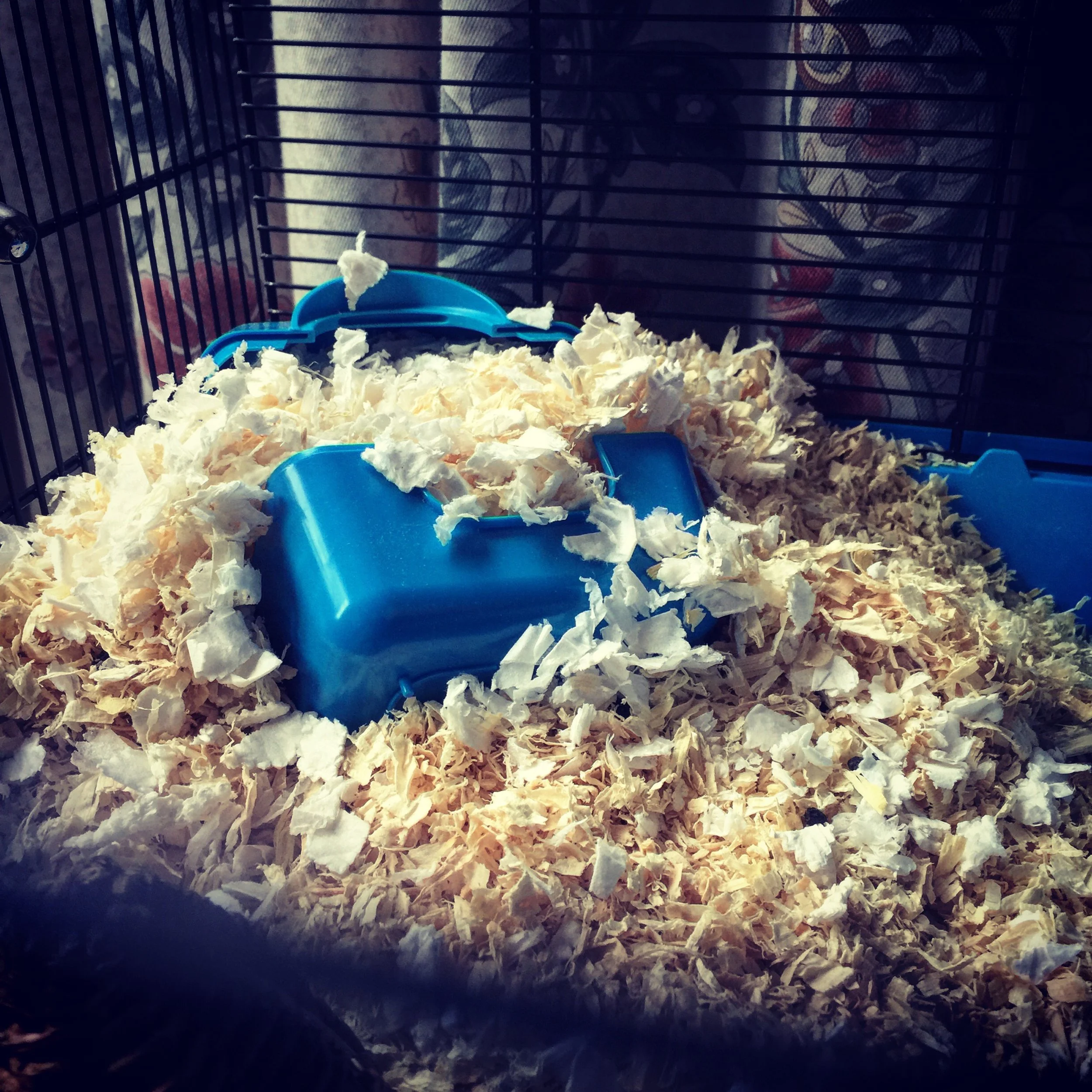 The 9th & 10th; She keeps me warm.