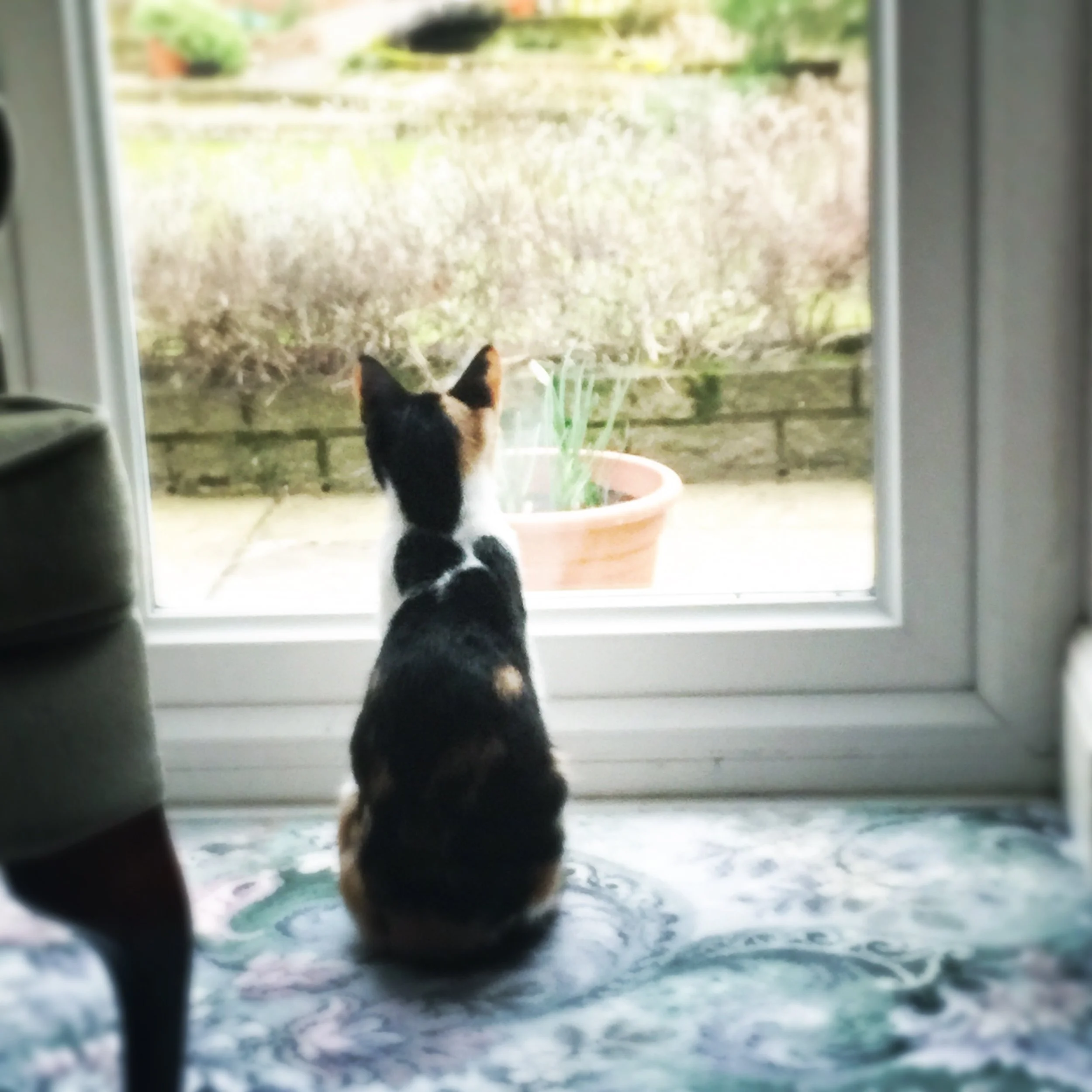 The 11th & 12th; United by fear.