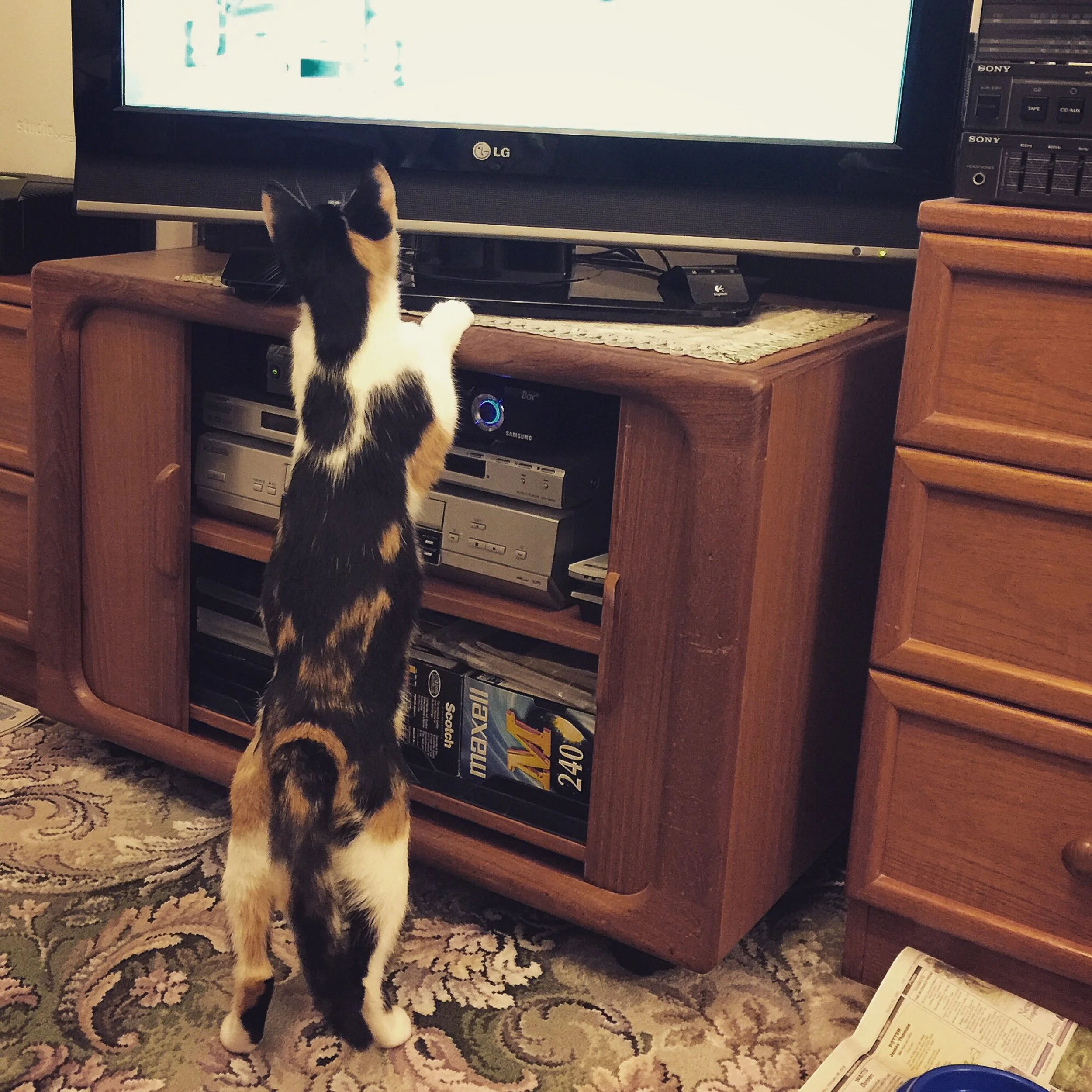 The 13th & 14th; Fighting for so long.