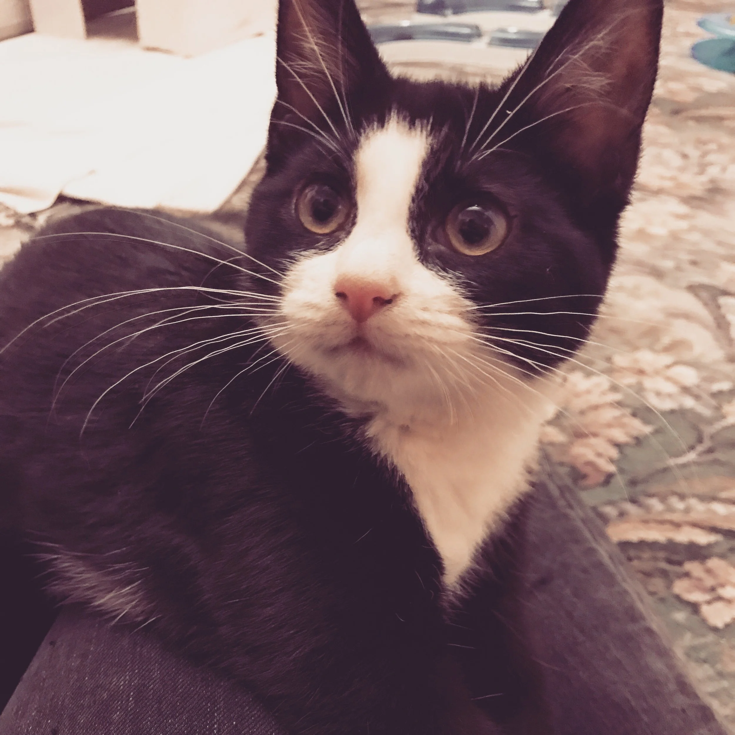 The 24th and 25th; I must not cry.