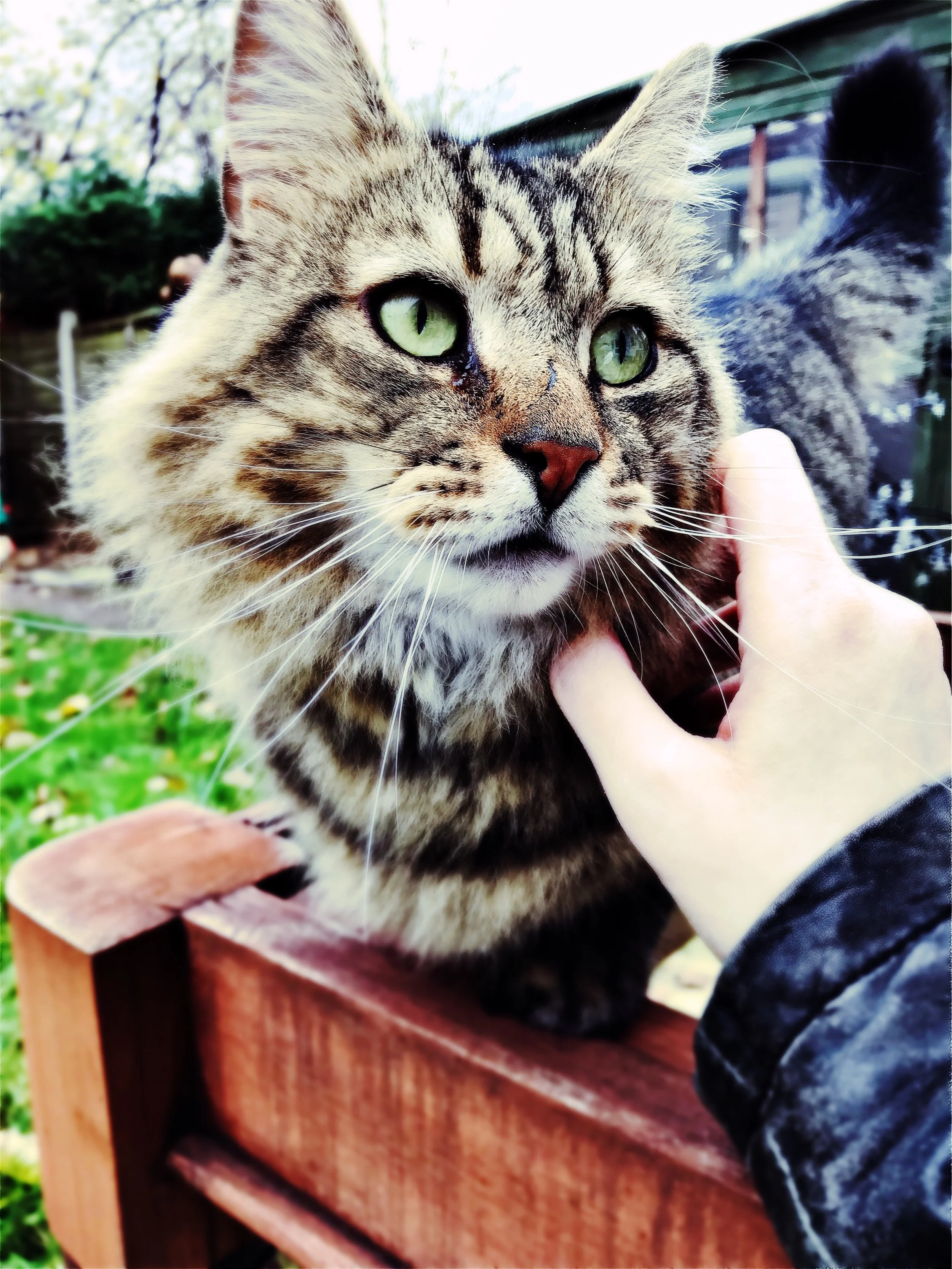 The 26th & 27th; It could have been different.