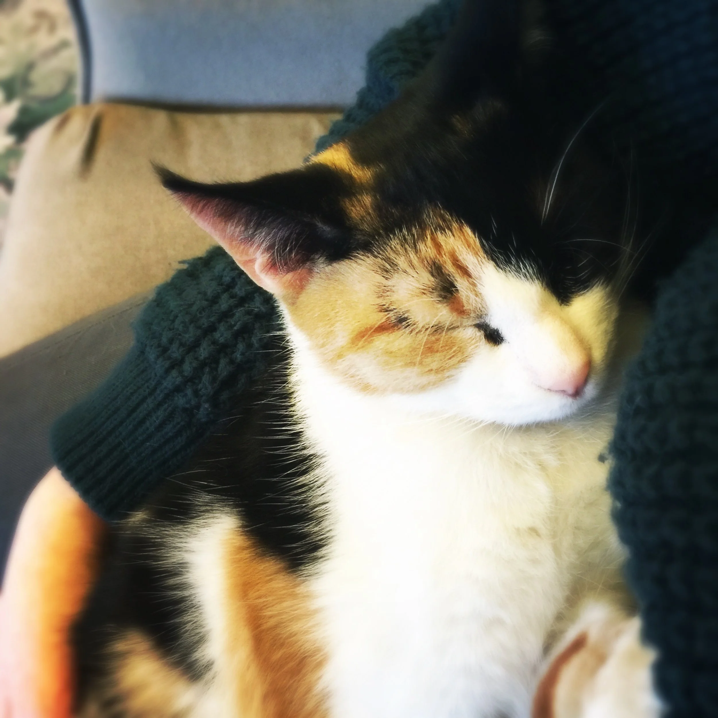 The 21st & 22nd; Inspiring and disappointing.